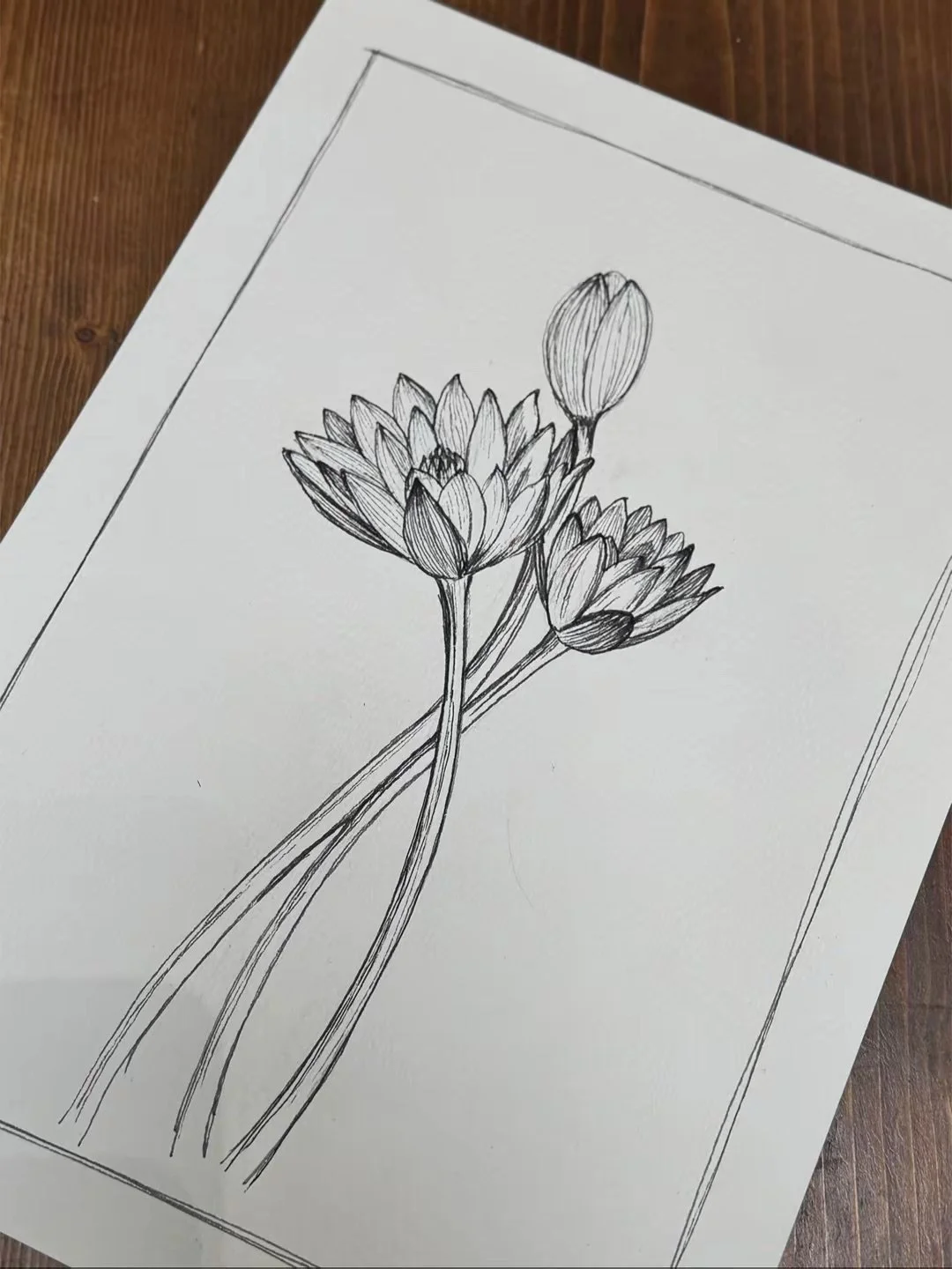 89 a Water Lily.jpeg