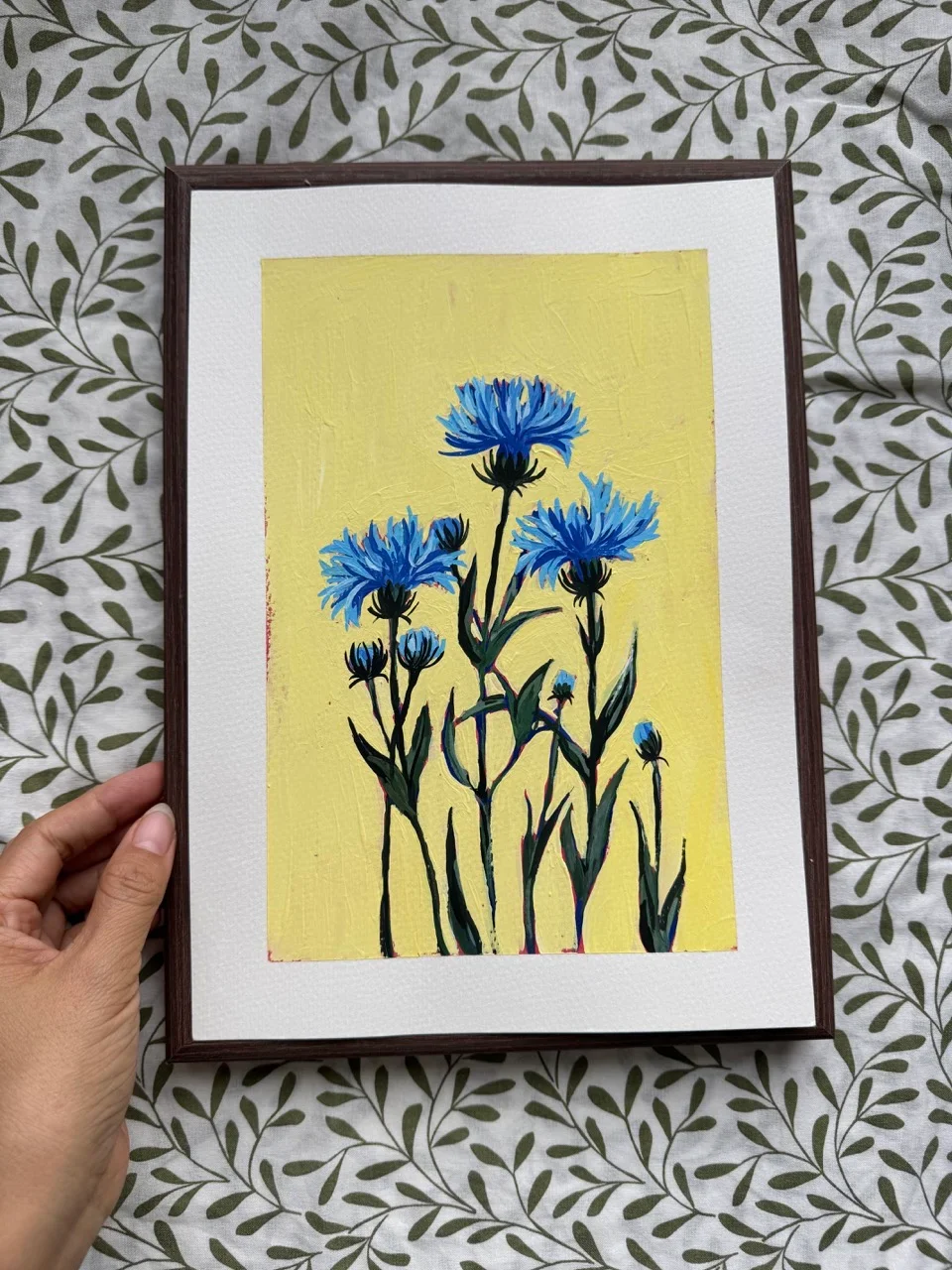 Cornflower–Day 43