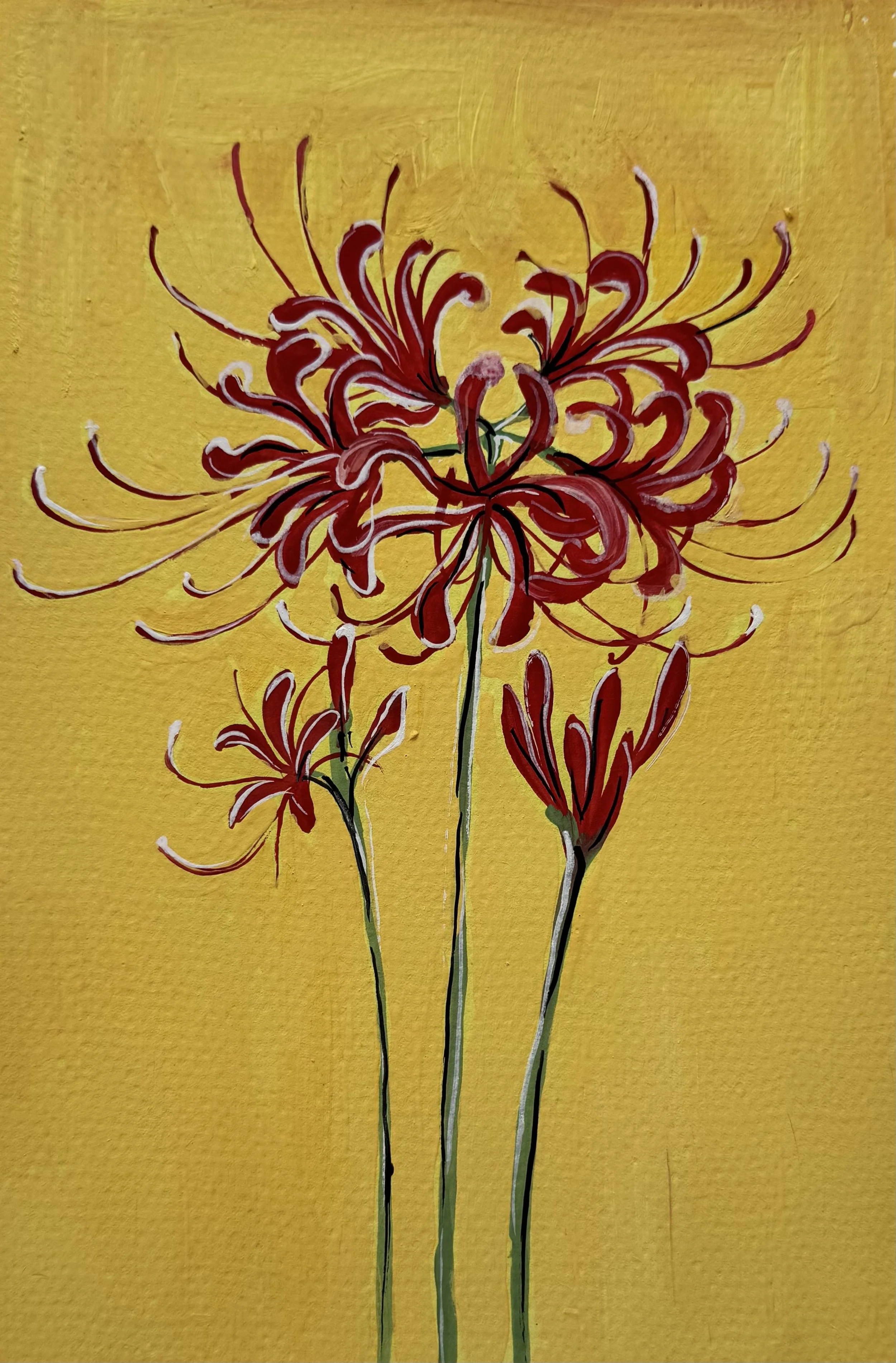8 Spider Lily.jpeg (Copy)