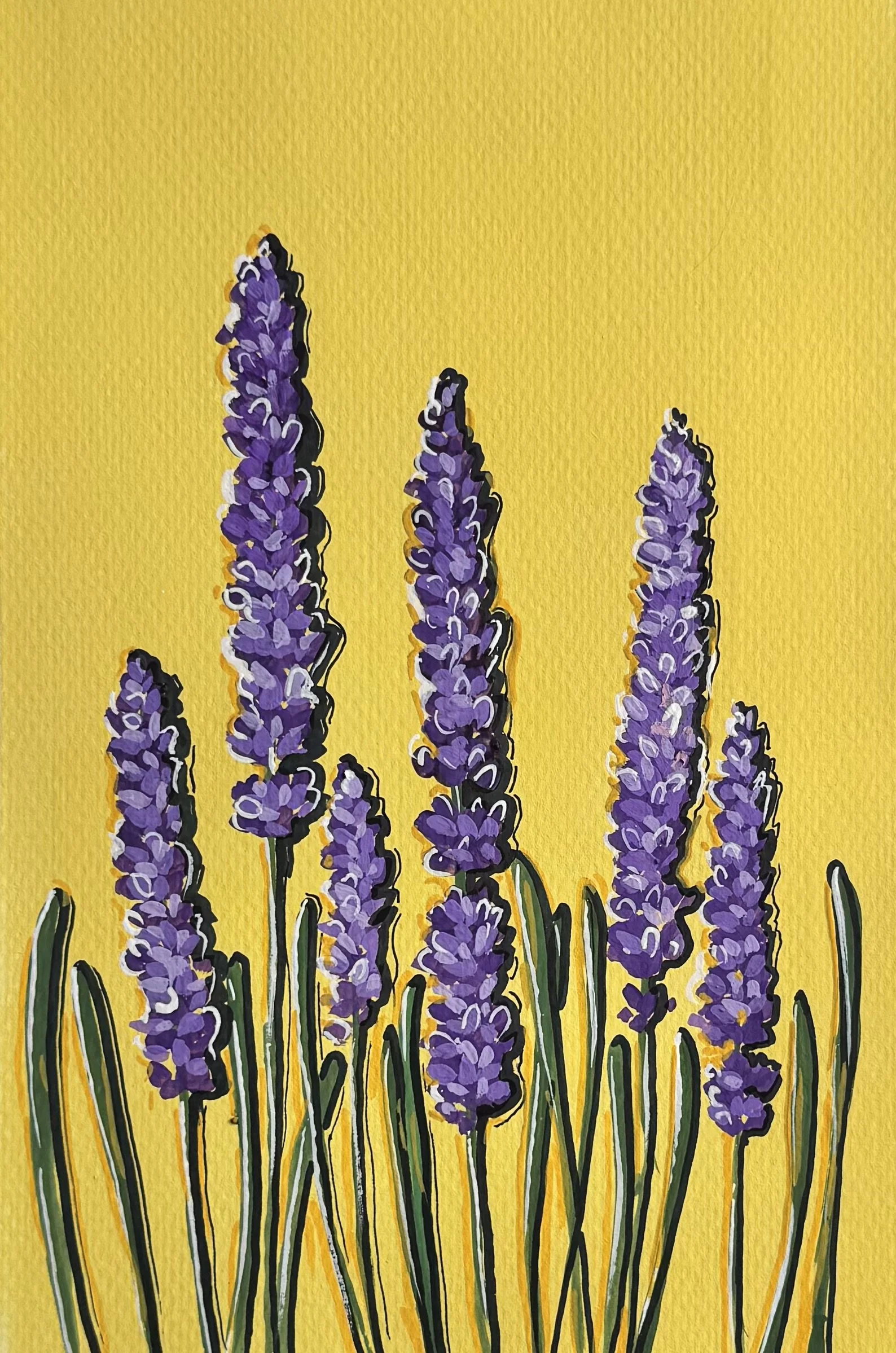 6 Lavender.jpeg (Copy)