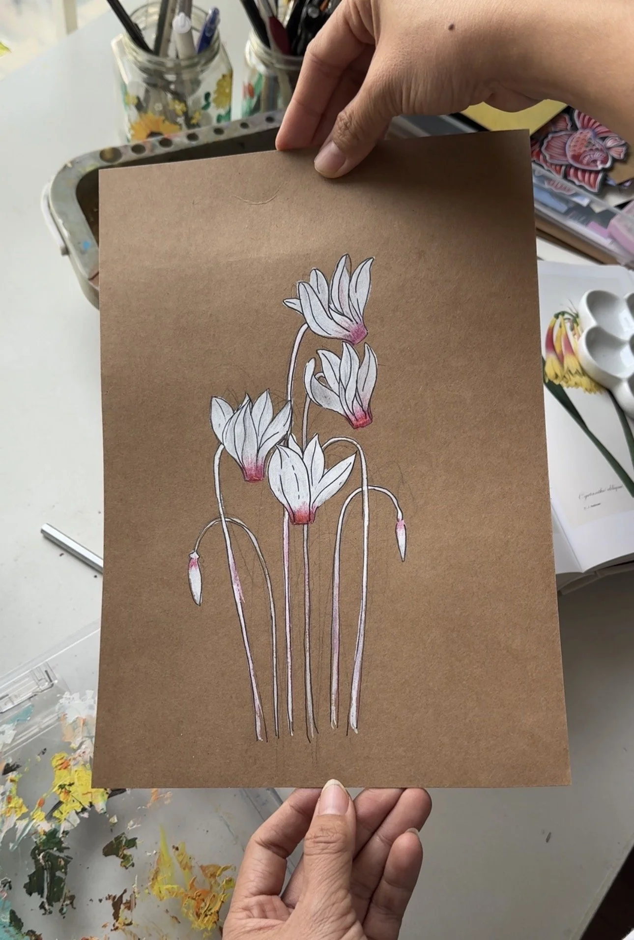 Cyclamen