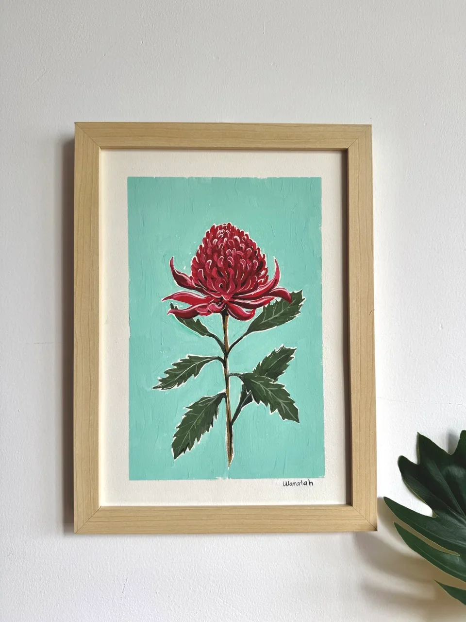 Waratah – Day 18 b.webp