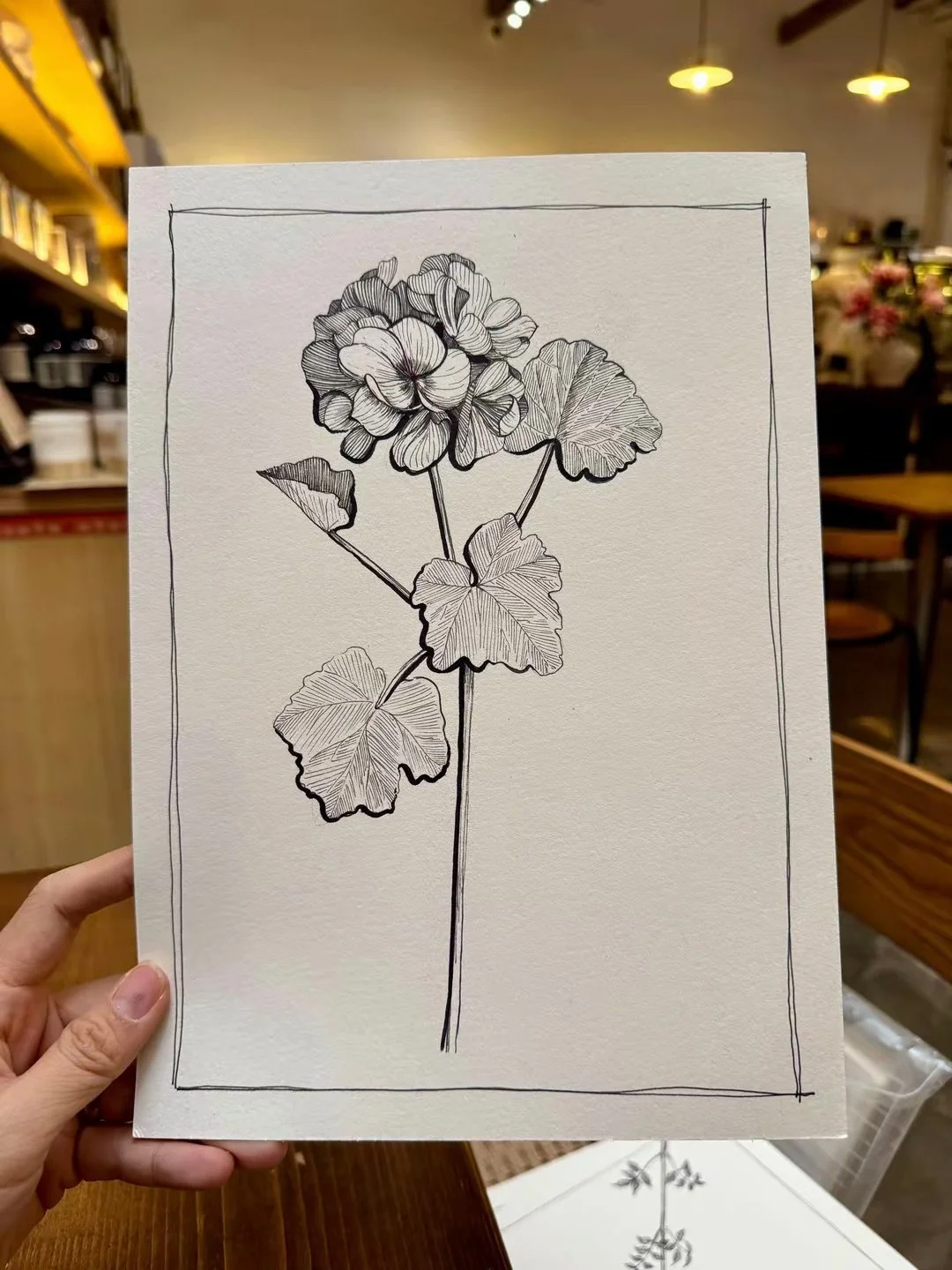 Geranium