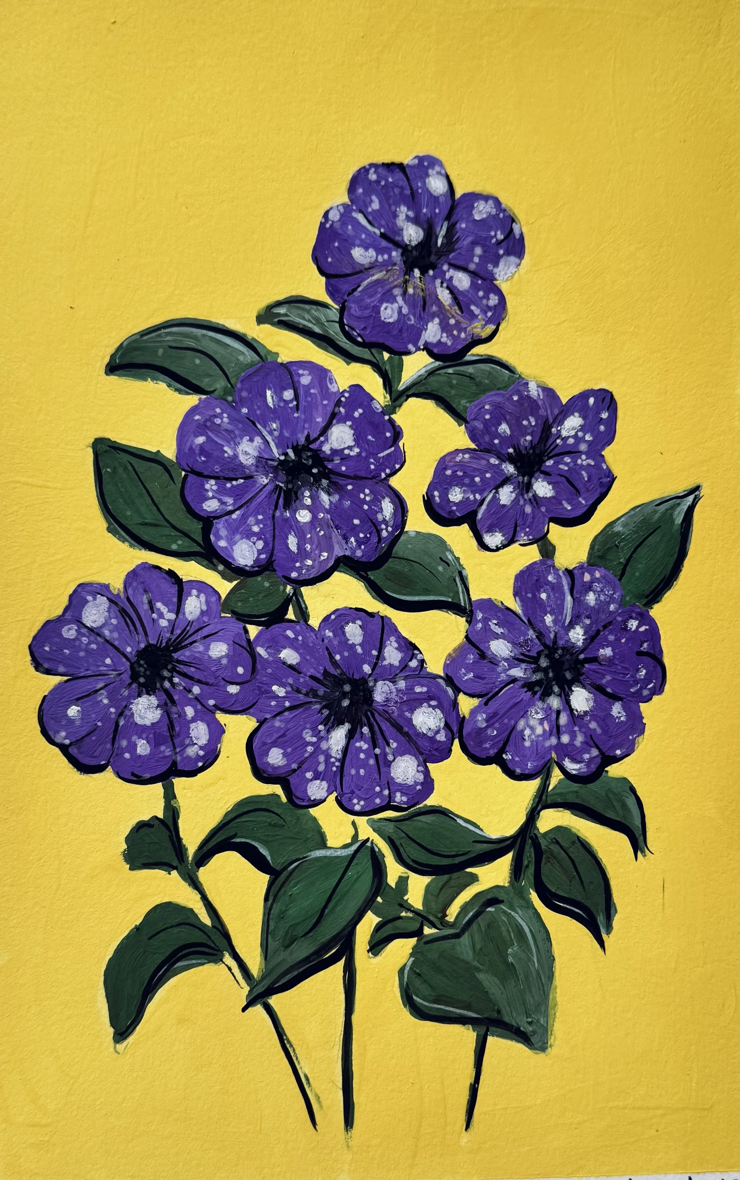 16 Night Sky petunia.jpeg (Copy)