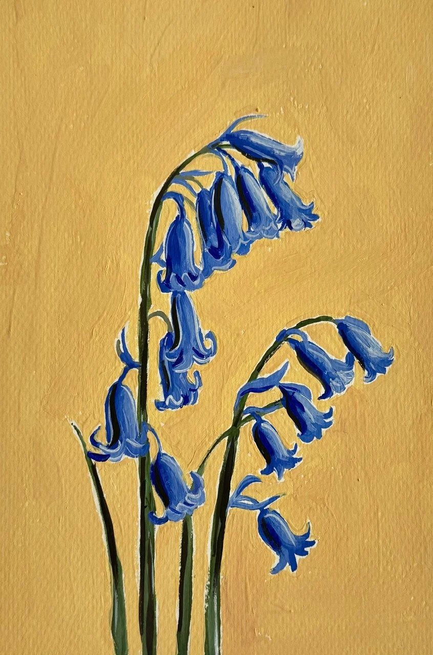 24 Bluebells.jpeg (Copy)