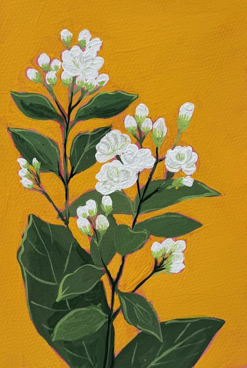 32 Jasmine Large.jpeg (Copy)