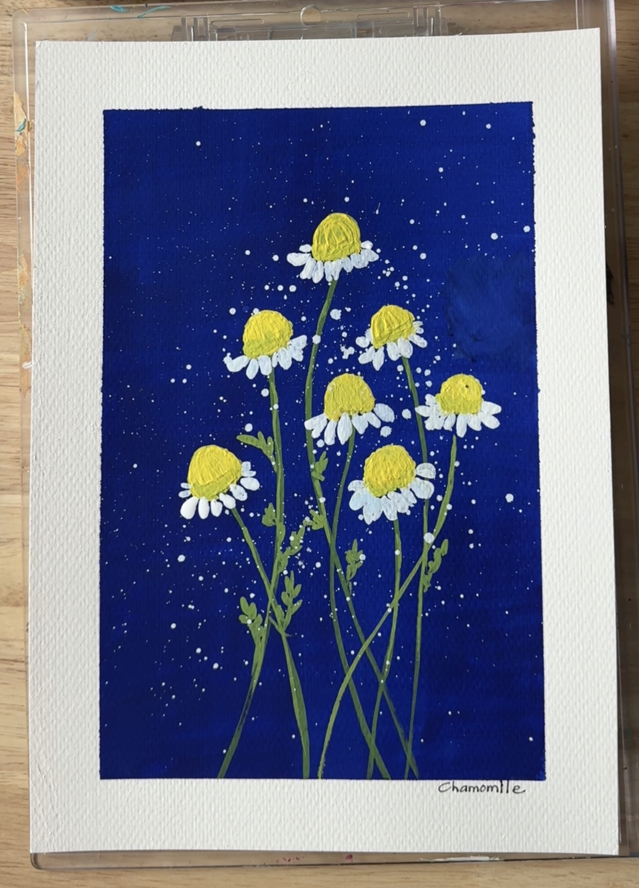Chamomile