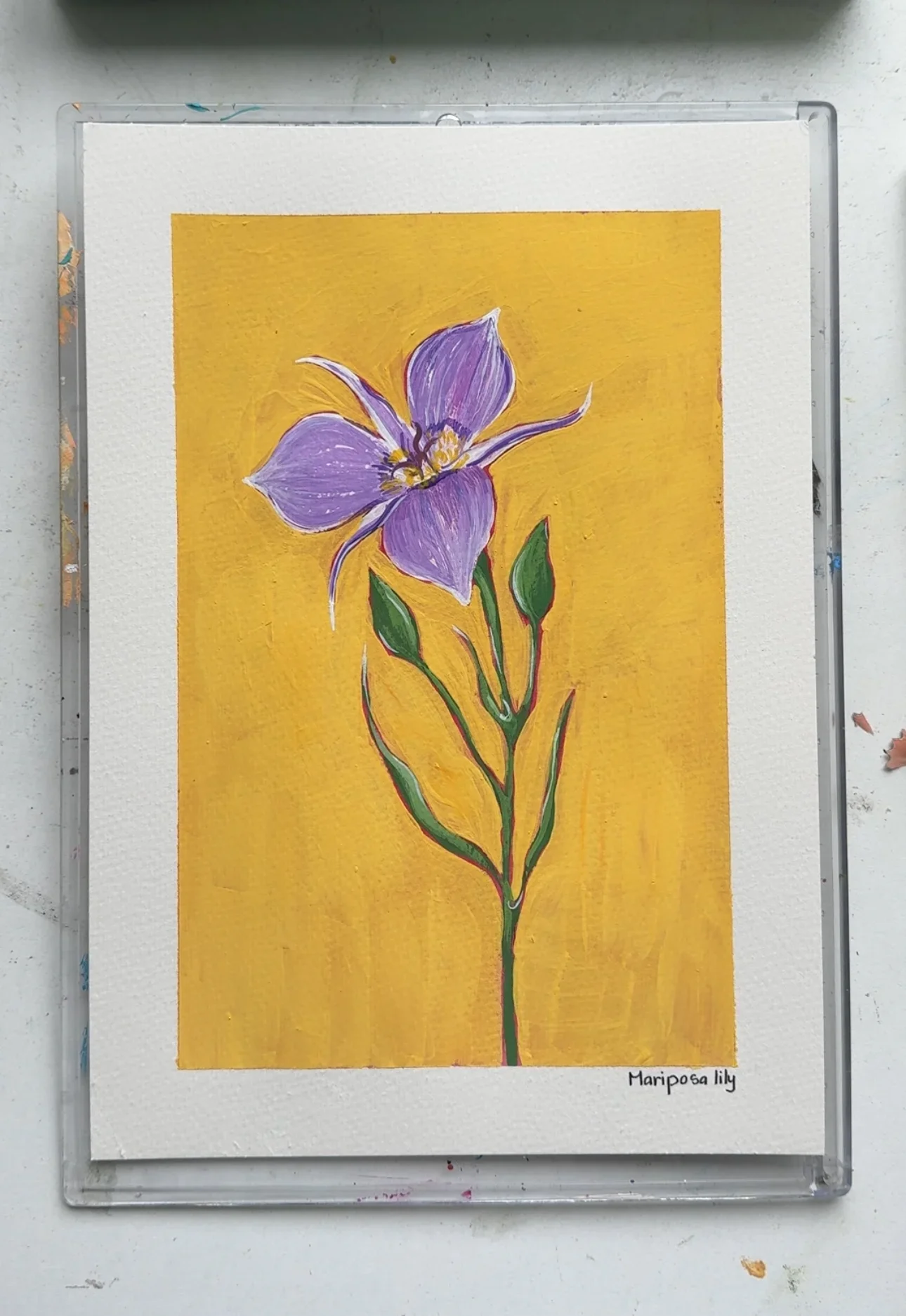 Mariposa Lily–Day 27