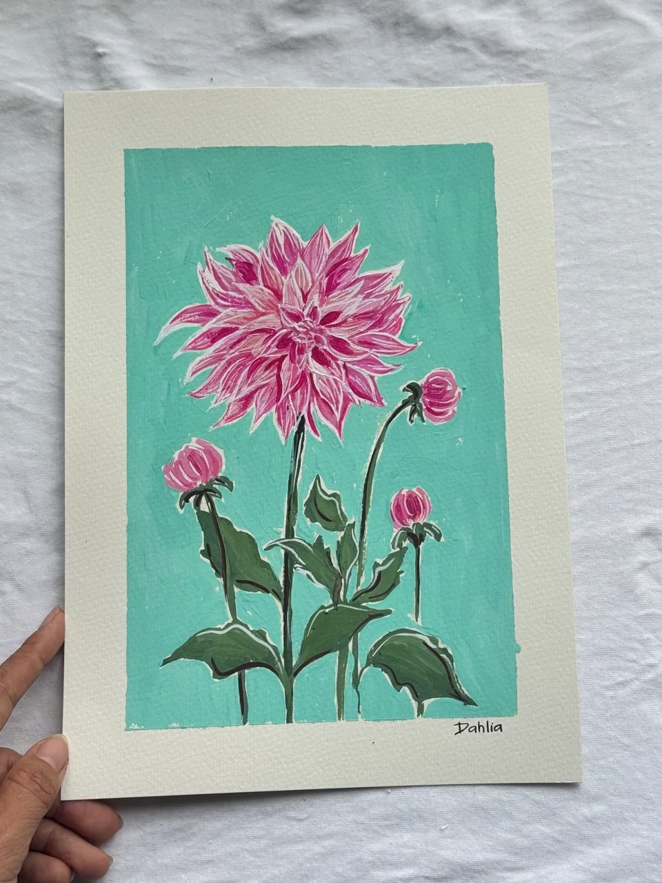 Dahlia–Day 19