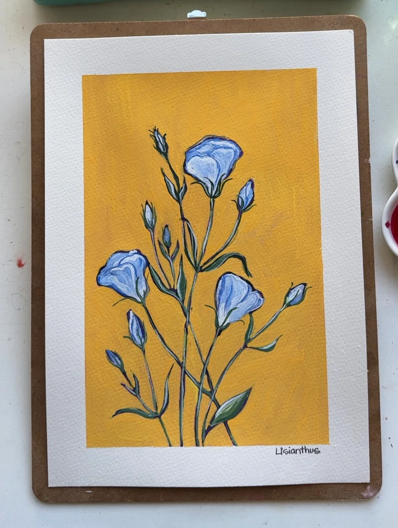 Lisanthus–Day 71