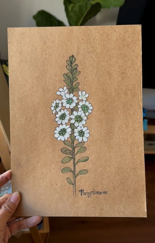 Thrytomene–Day 77