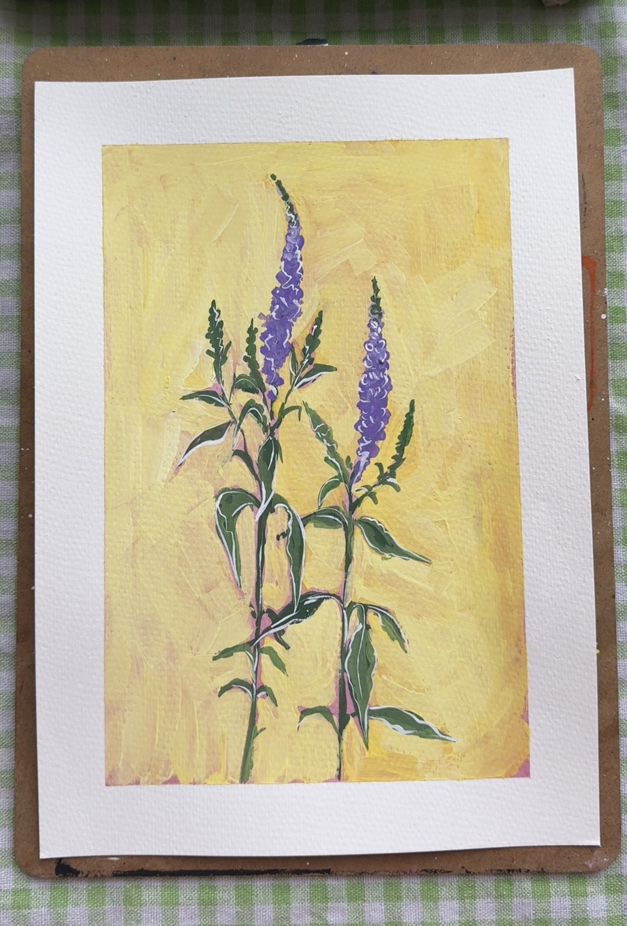Salvia