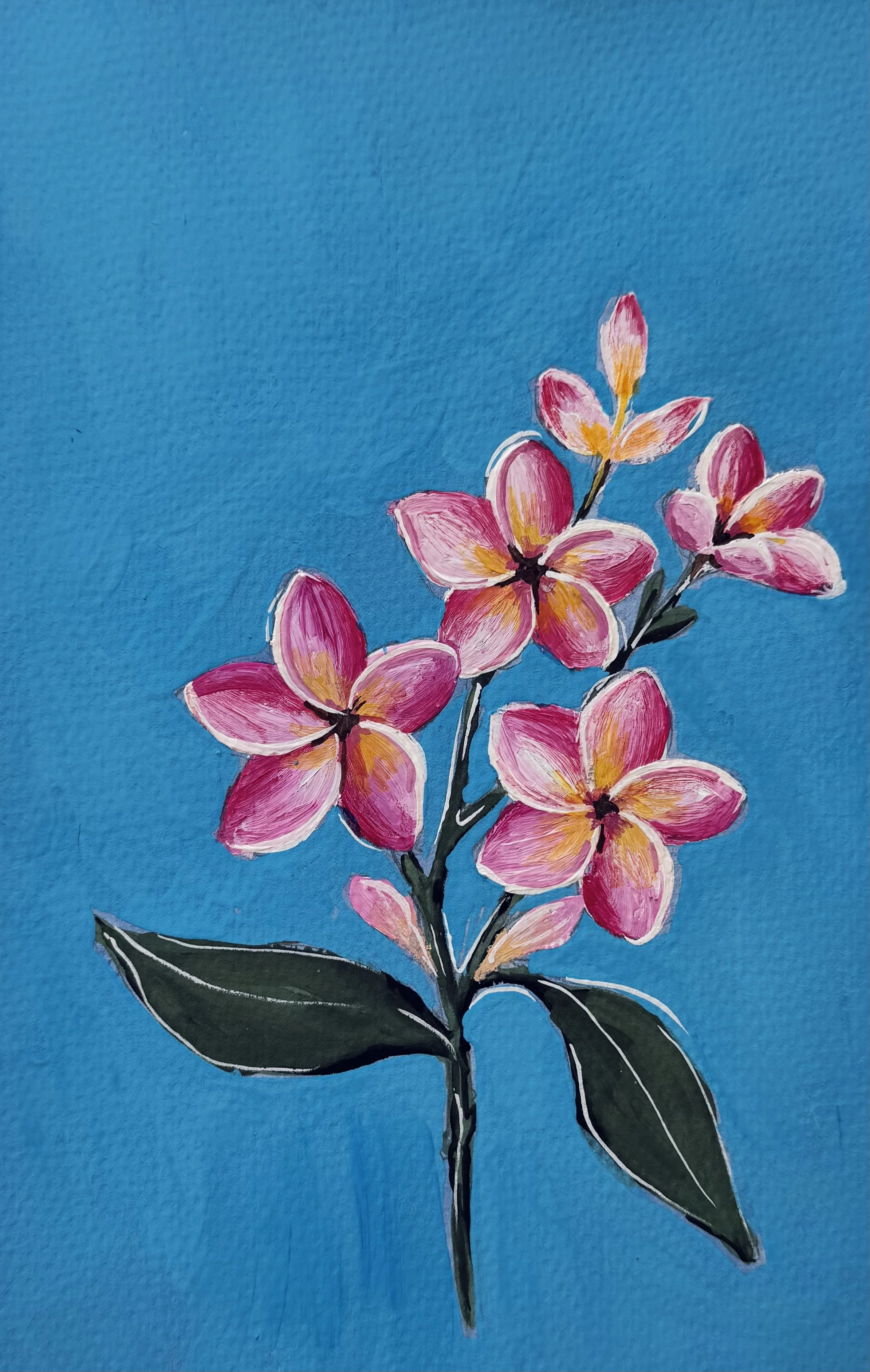 14 Pink Plumeria.jpeg (Copy)