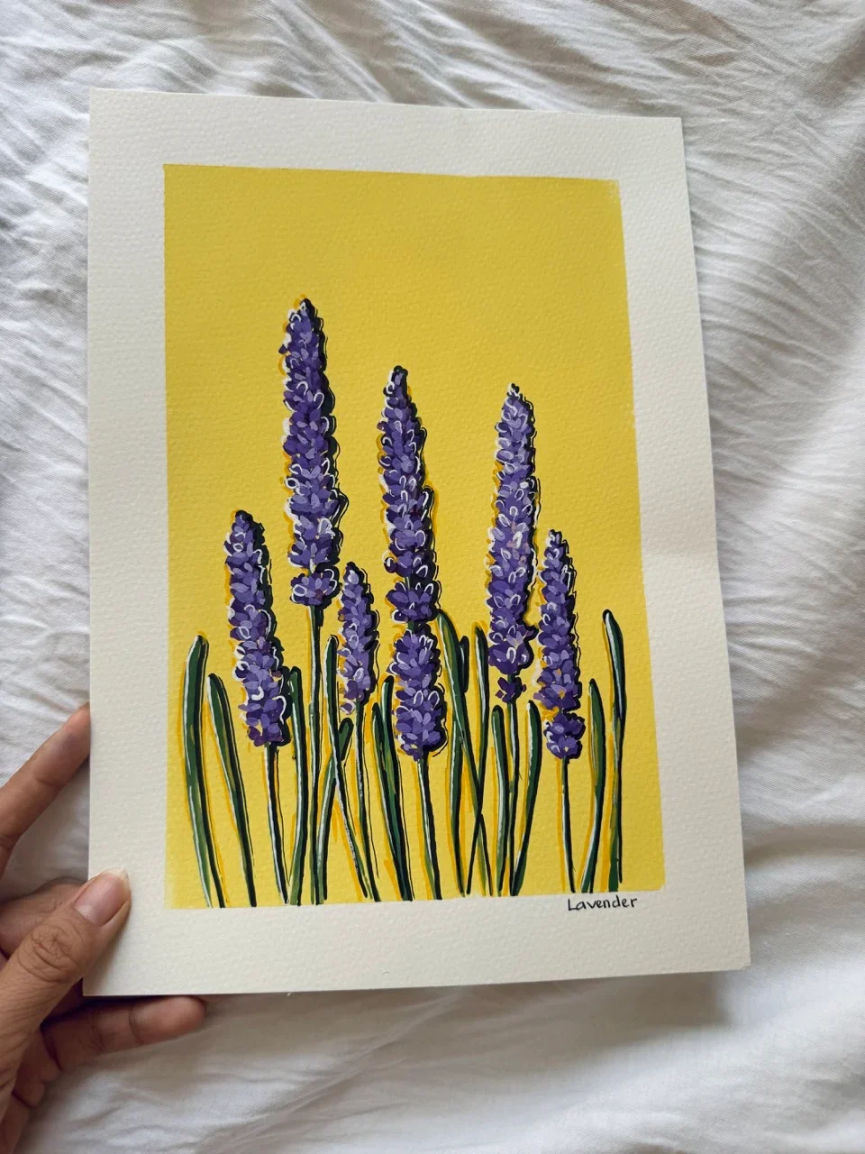 Lavender-Day6