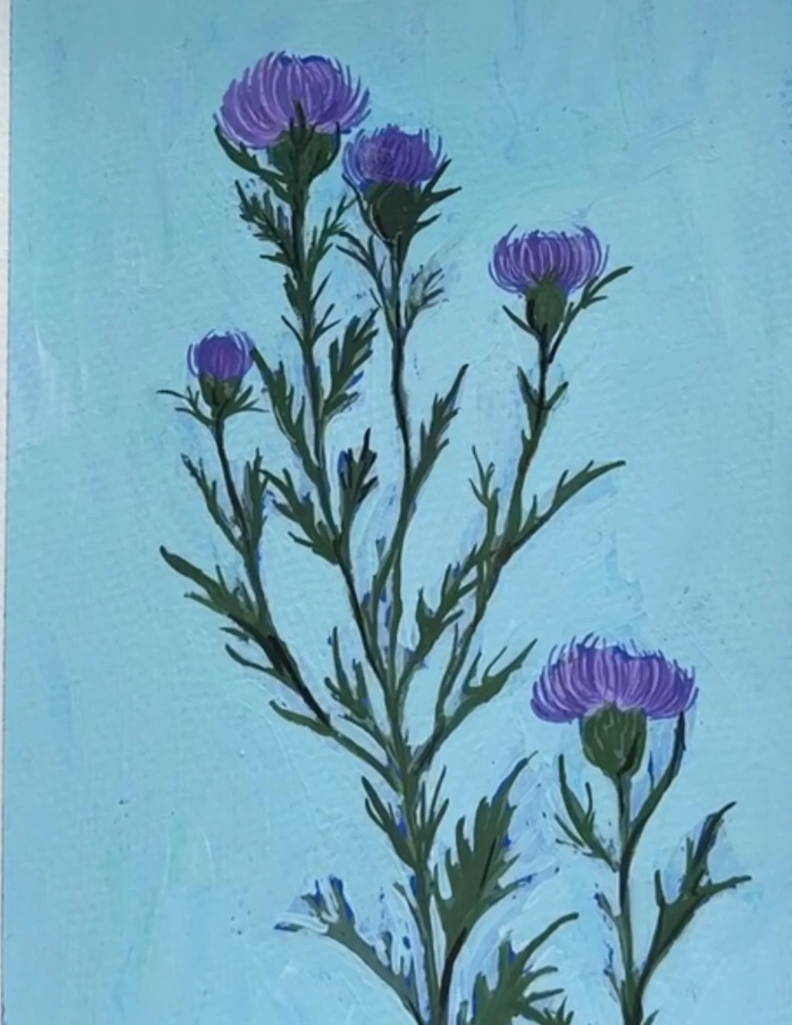 84a Thistle.jpg (Copy)