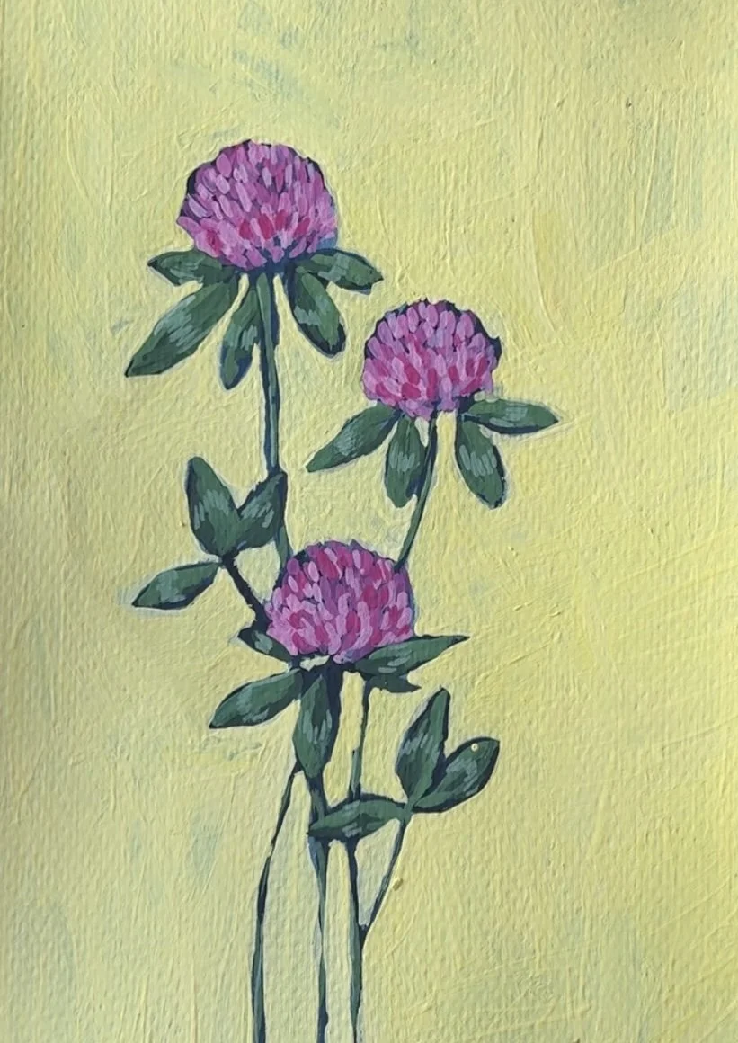 62 Red Clover.jpg (Copy)