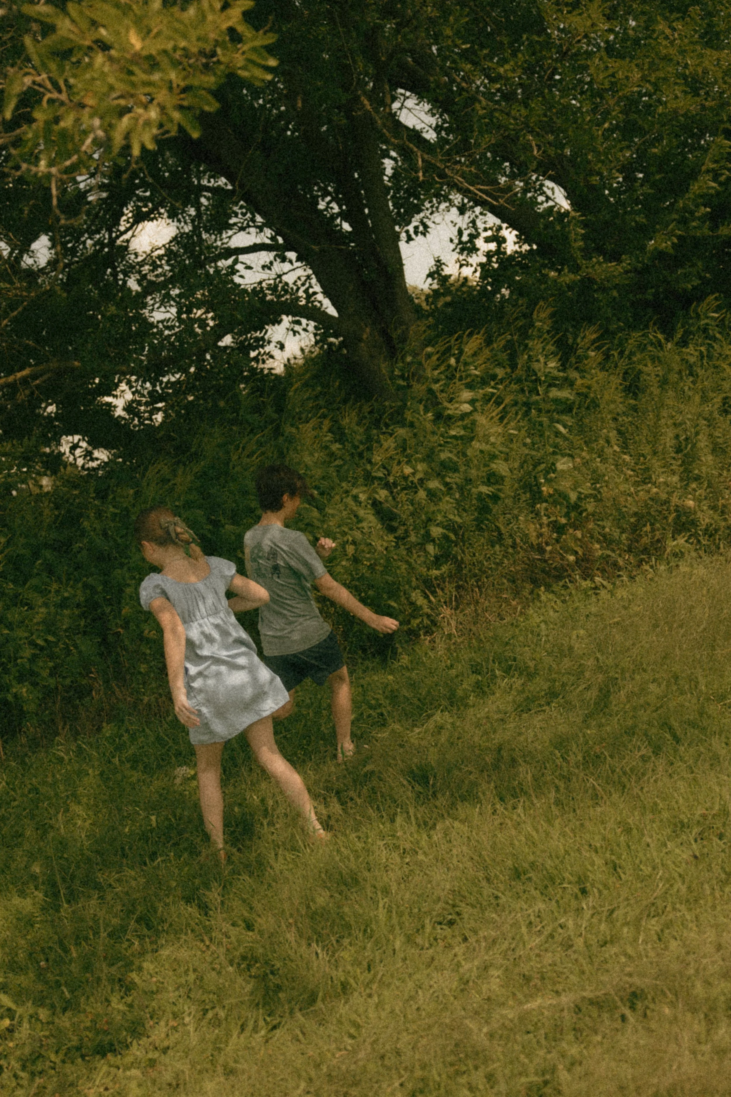 WildWillowPhotographyLLC-J-Extended Family -08-23-2026-FINAL-15.jpg