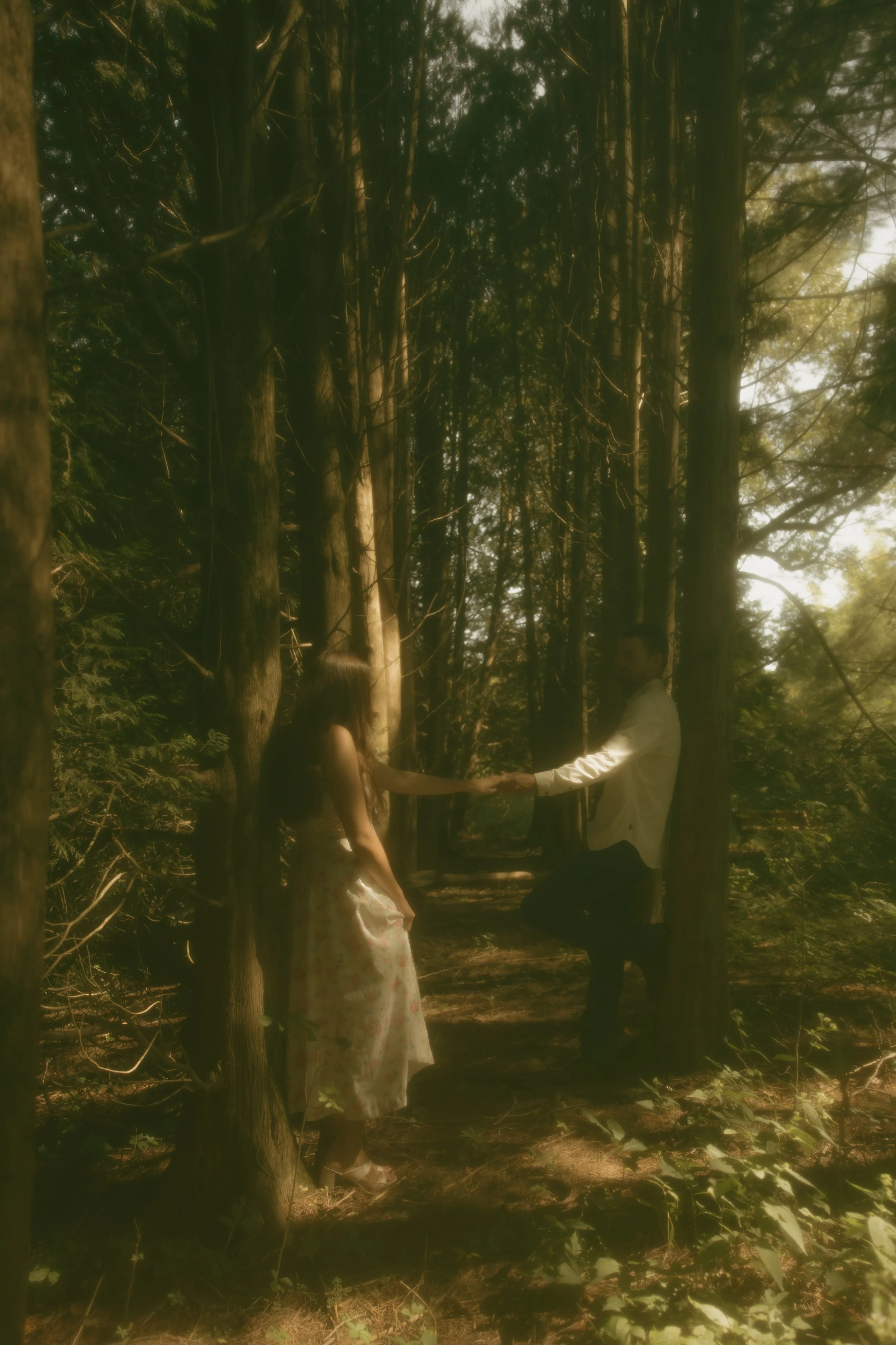 Couple holding hands beneath the trees during a romantic outdoor couples photography session