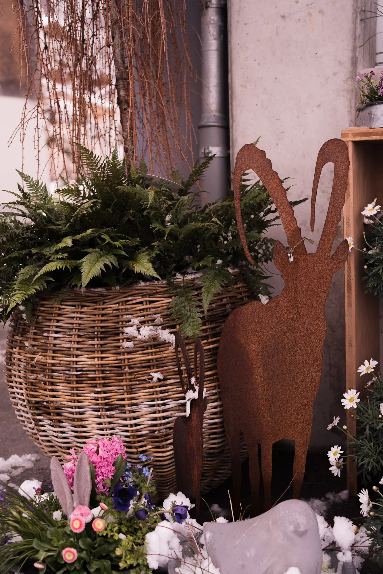 260315_Eröffnung Bliomämeitli Hofladen-43.jpg