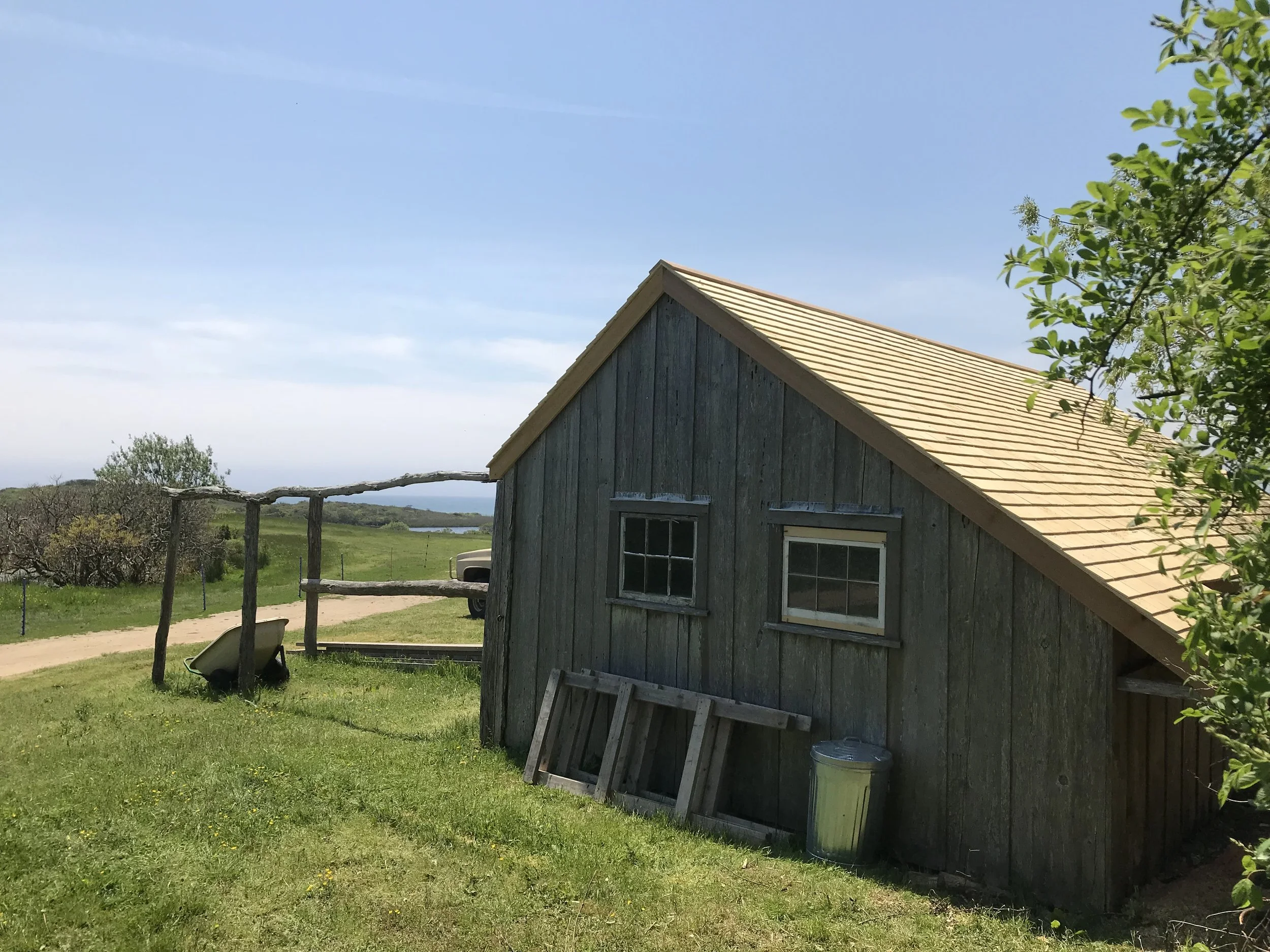 A small gray wooden barn with a tan shingled roof in a rural setting, surrounded by green grass and trees, under a clear blue sky.