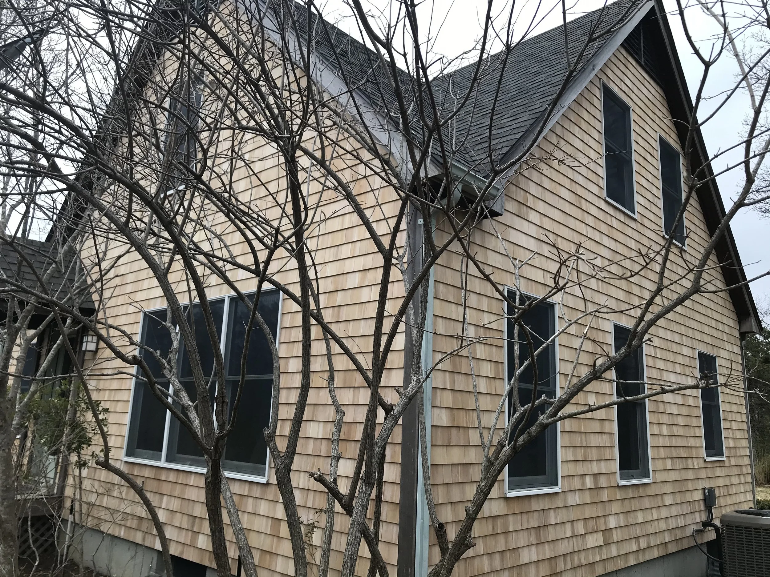 A house with beige shingle siding and four tall, narrow windows. There are leafless tree branches in the foreground.