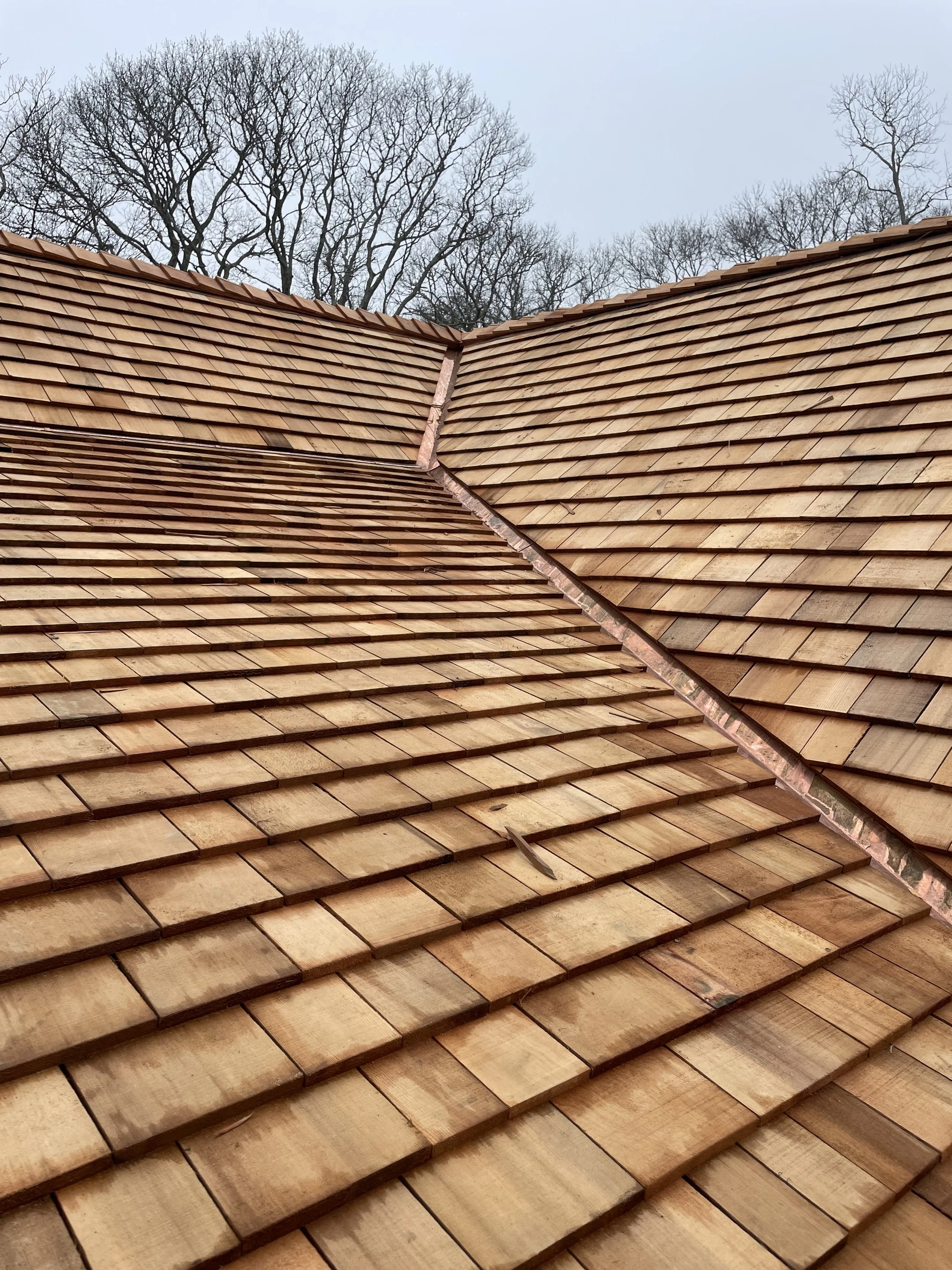 Close-up view of new wooden shingles on a roof with trees and sky in the background.