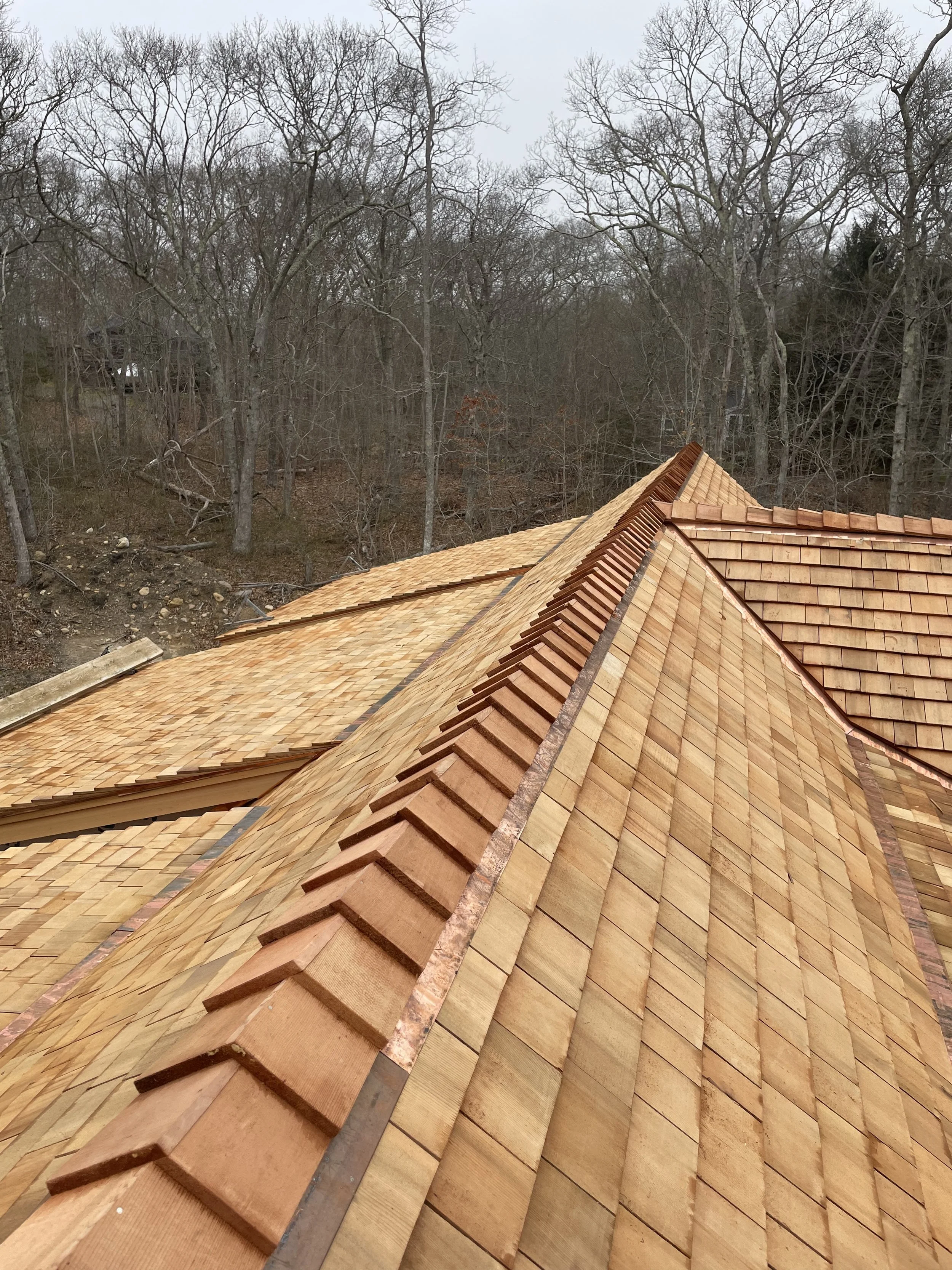 Photo of a house roof under construction with wooden shingles and a forest with leafless trees in the background.