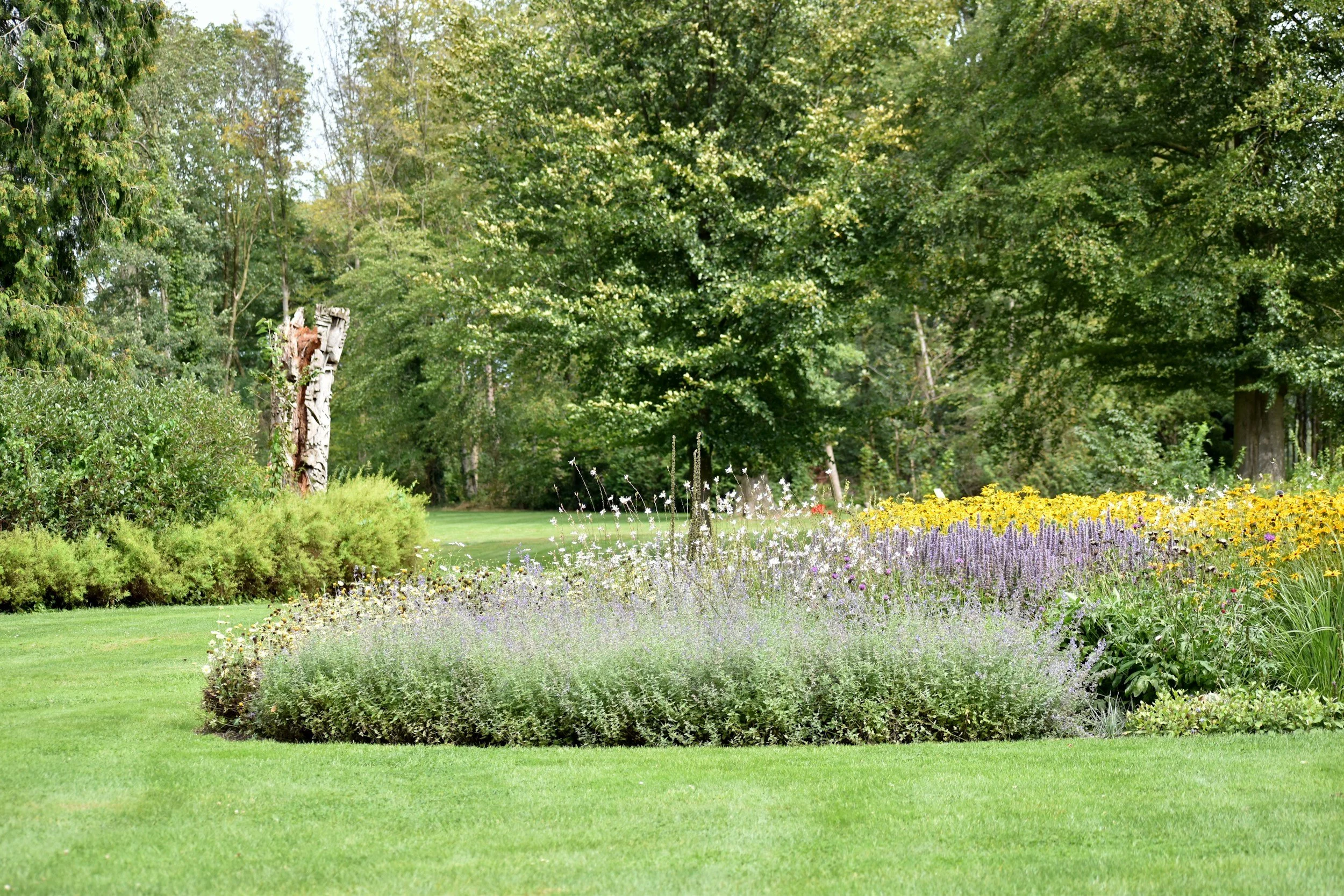 A lush garden with green grass, various bushes and flowering plants, tall trees in the background, and a flower bed with purple, yellow, and white flowers.