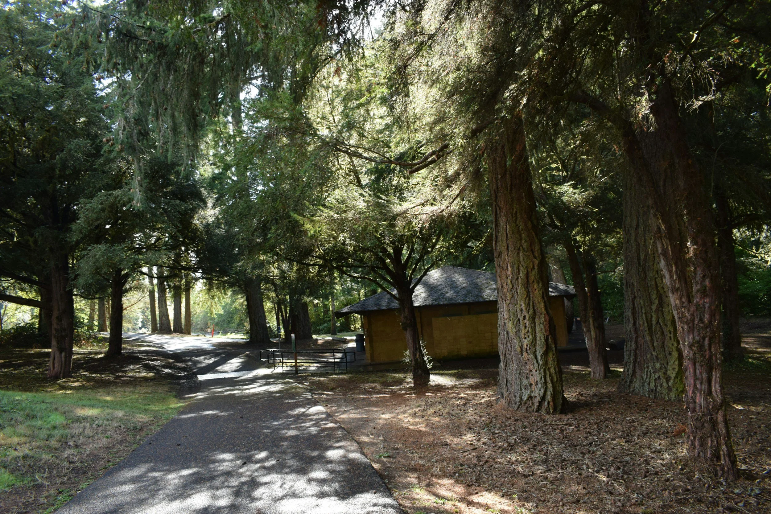 A park with tall trees along a paved pathway, a small building or shed with a gray roof, and a metal railing at the pathway's edge, all shaded by dense tree foliage.