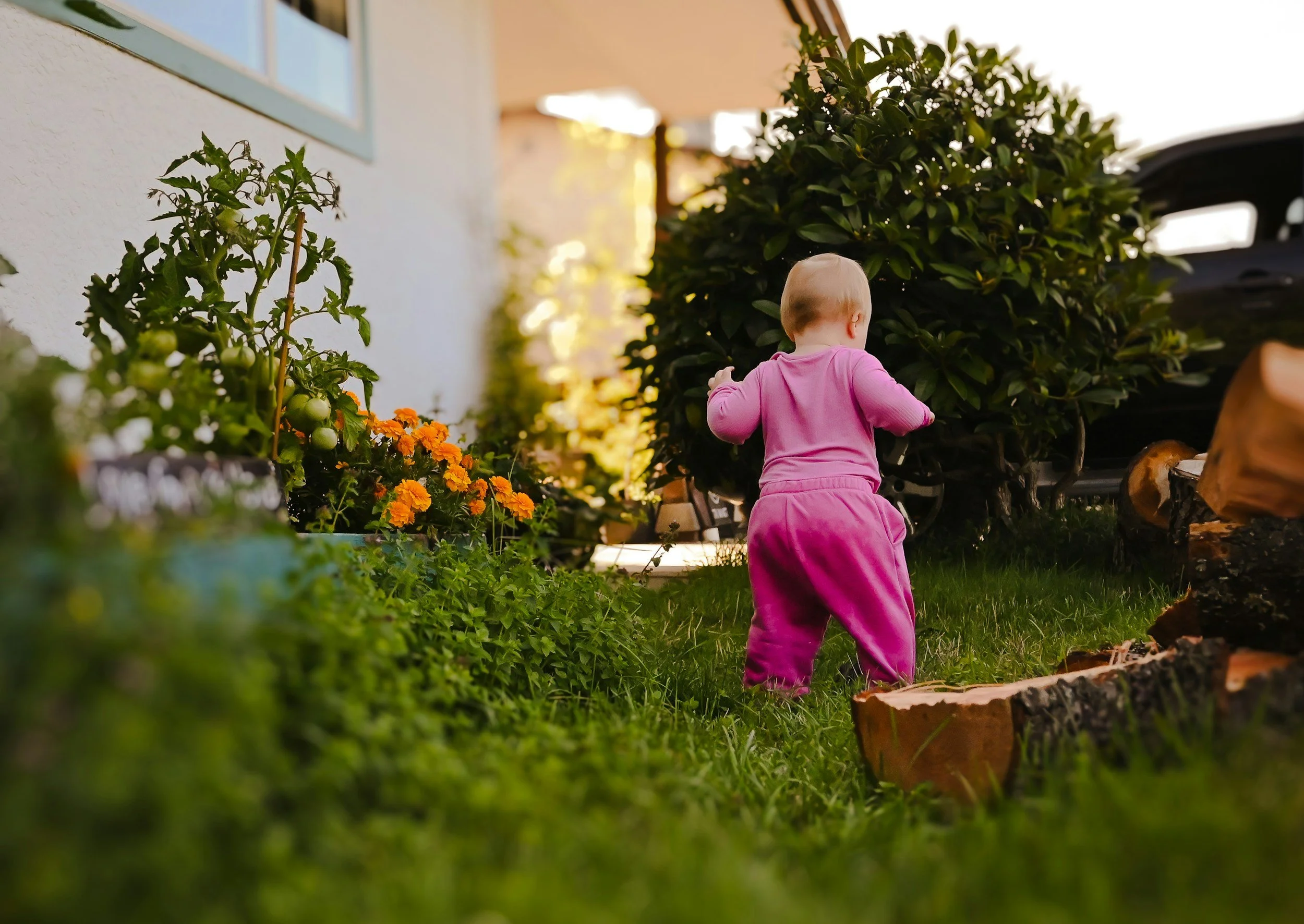 A young child in a pink outfit is outdoors near a large bush, with a house wall, some flowers, and a vehicle in the background.