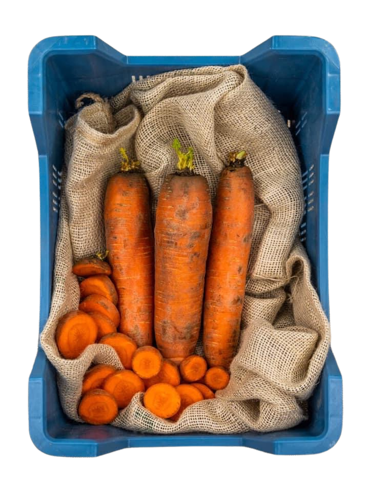 Winterpeen (nieuwe oogst)
