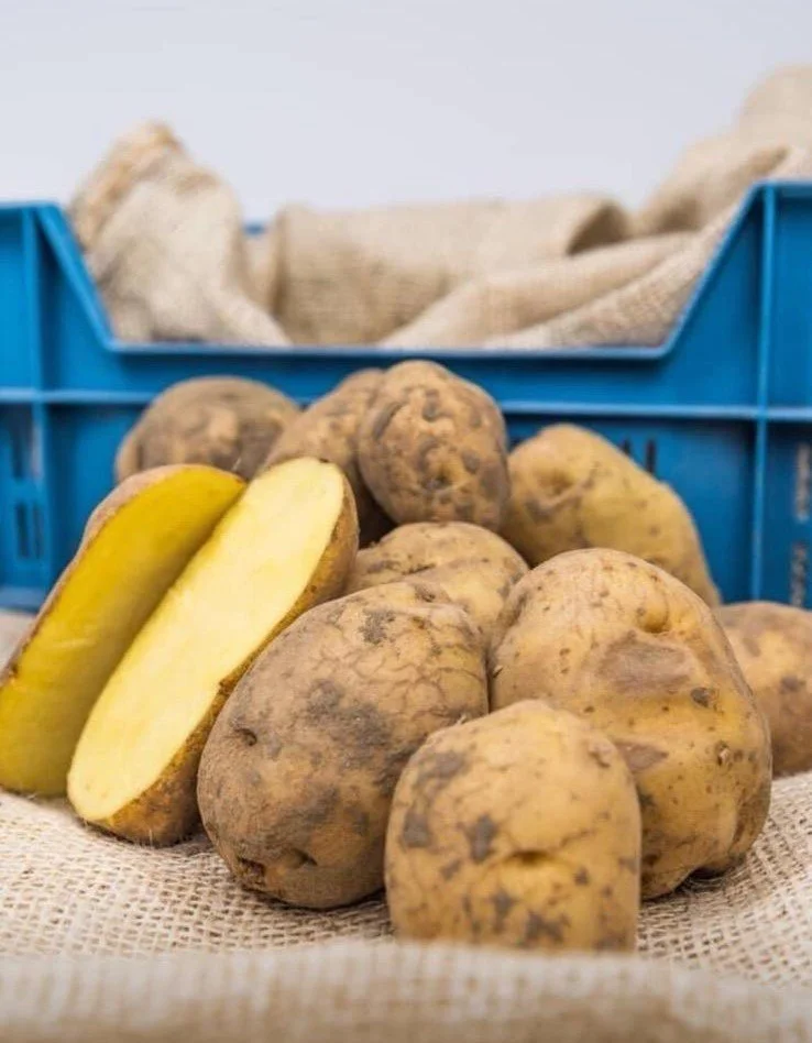 Eigenheimer aardappelen (nieuwe oogst)