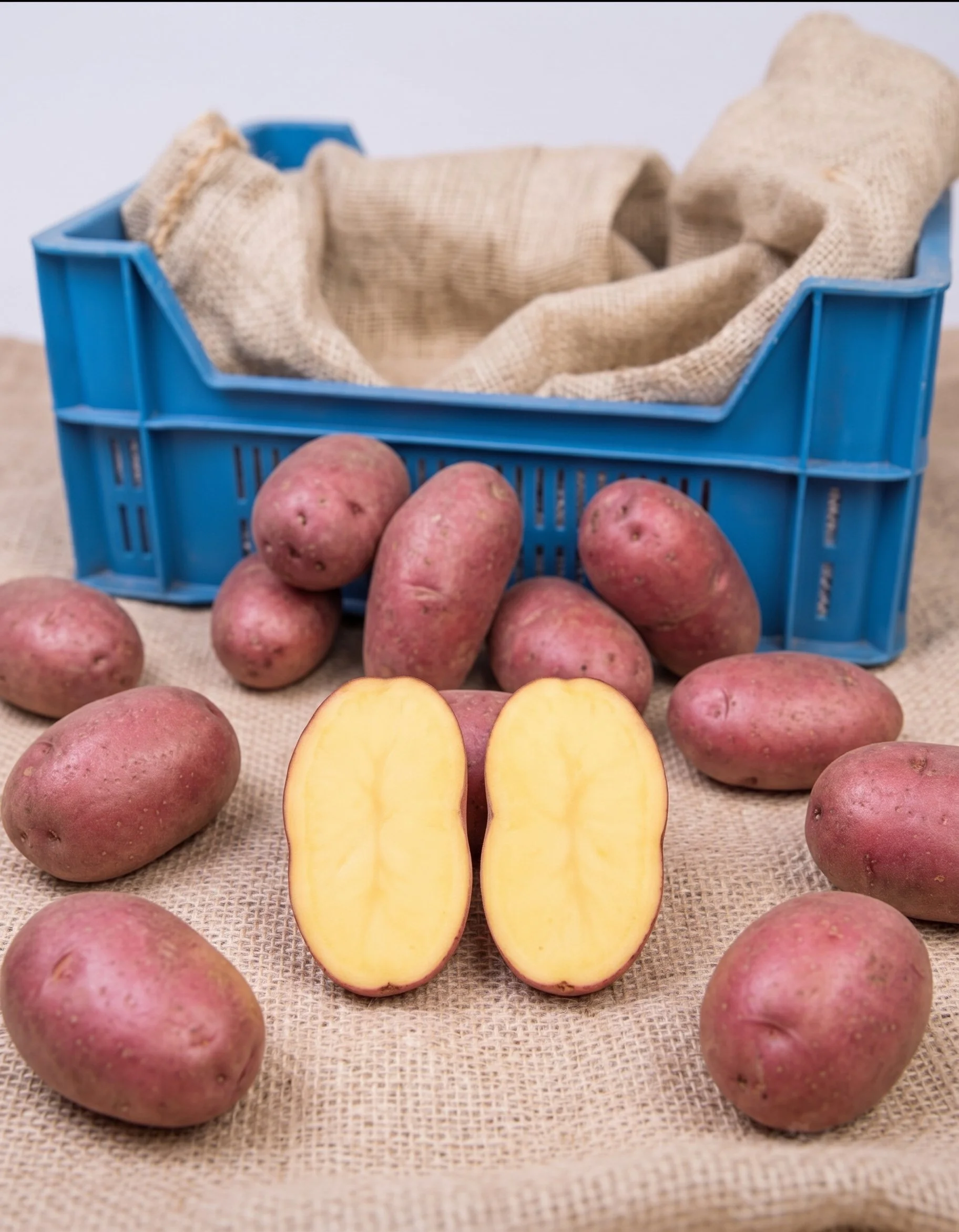 Bildstar aardappelen (nieuwe oogst)