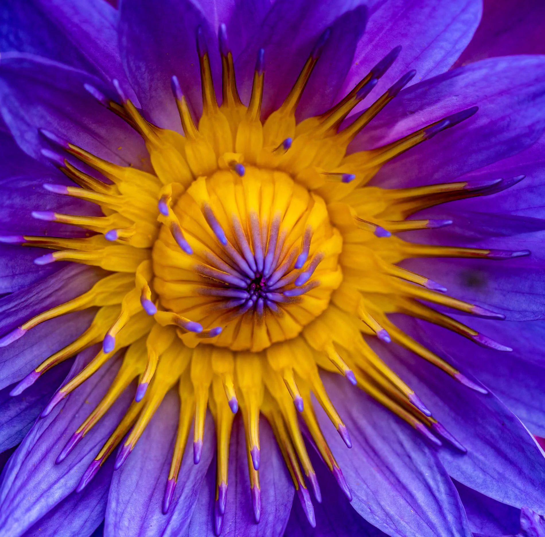 20260917_DSinspiration_DS-Sri-Lanka-50750128.JPG