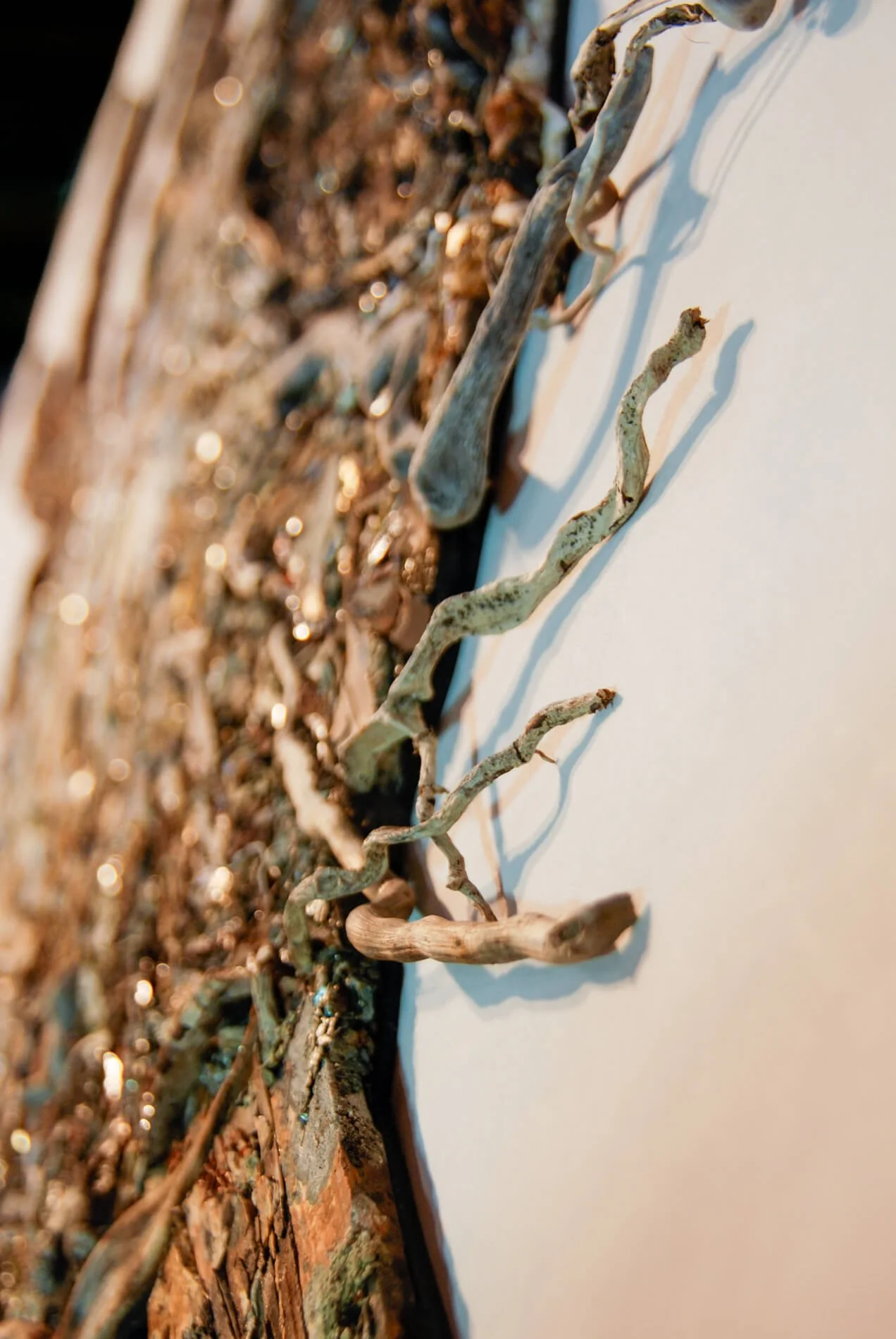 20260919_Floating-Nest-Details_DSC_0156.JPG