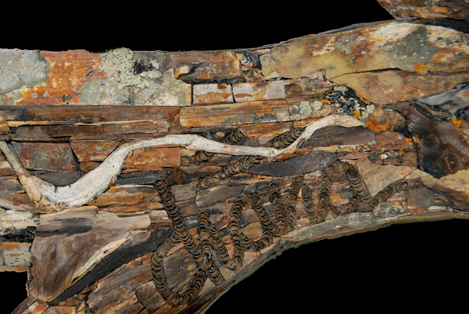 20260919_Floating-Nest-Details_DSC_0075.JPG