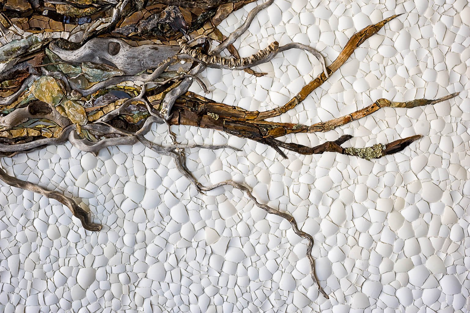 Blackbird's Nest