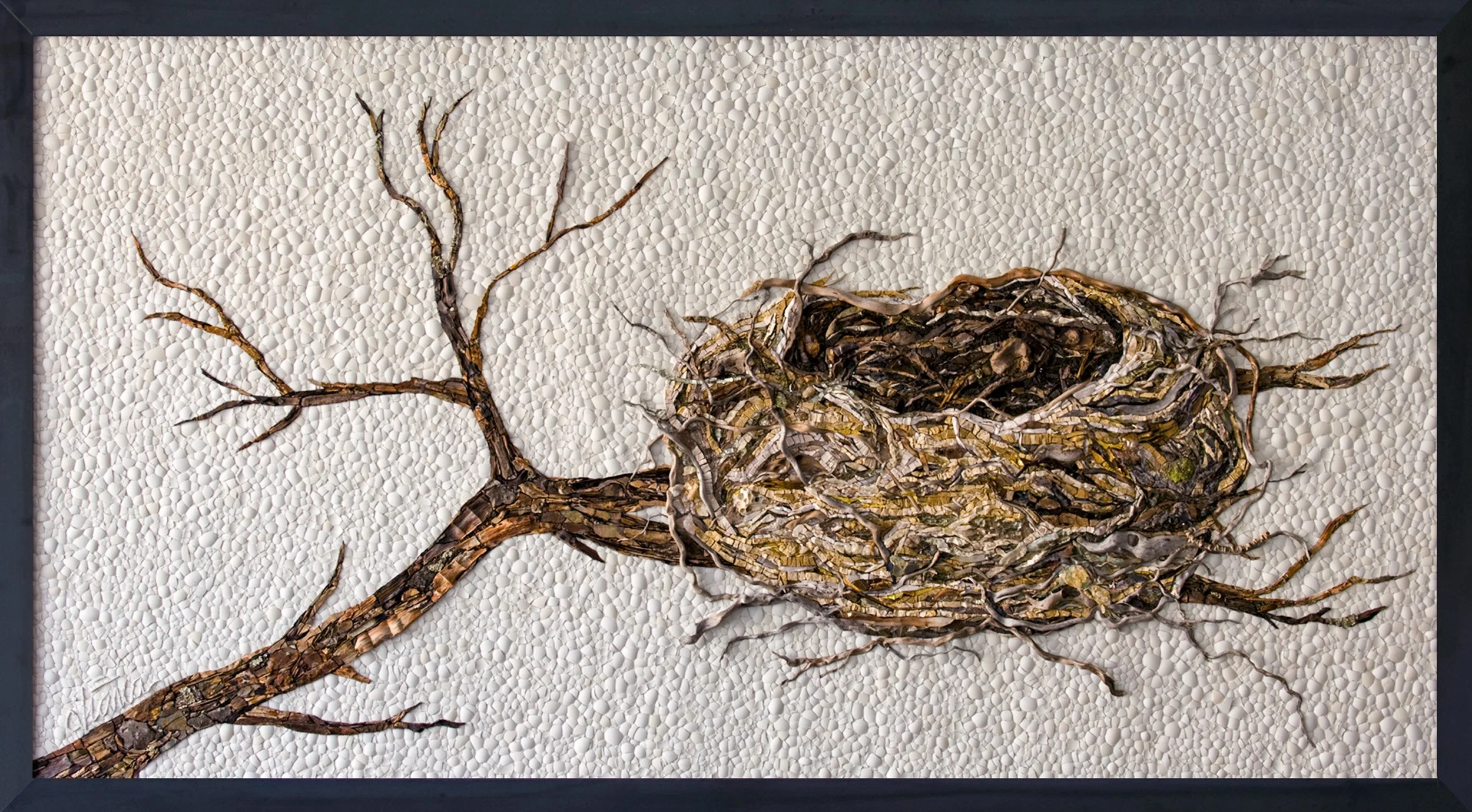 20260920_BBNEST-Full_Blackbird's-Nest.JPG