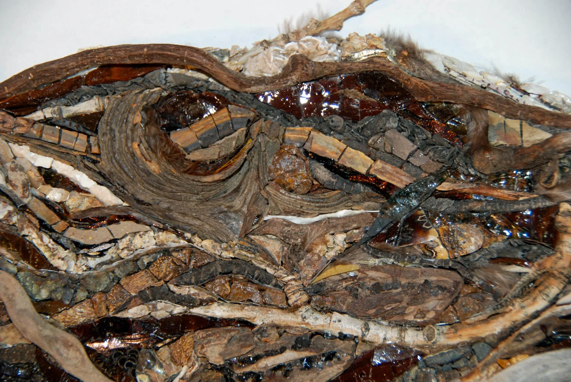 20260919_Floating-Nest-Details_DSC_0059.JPG