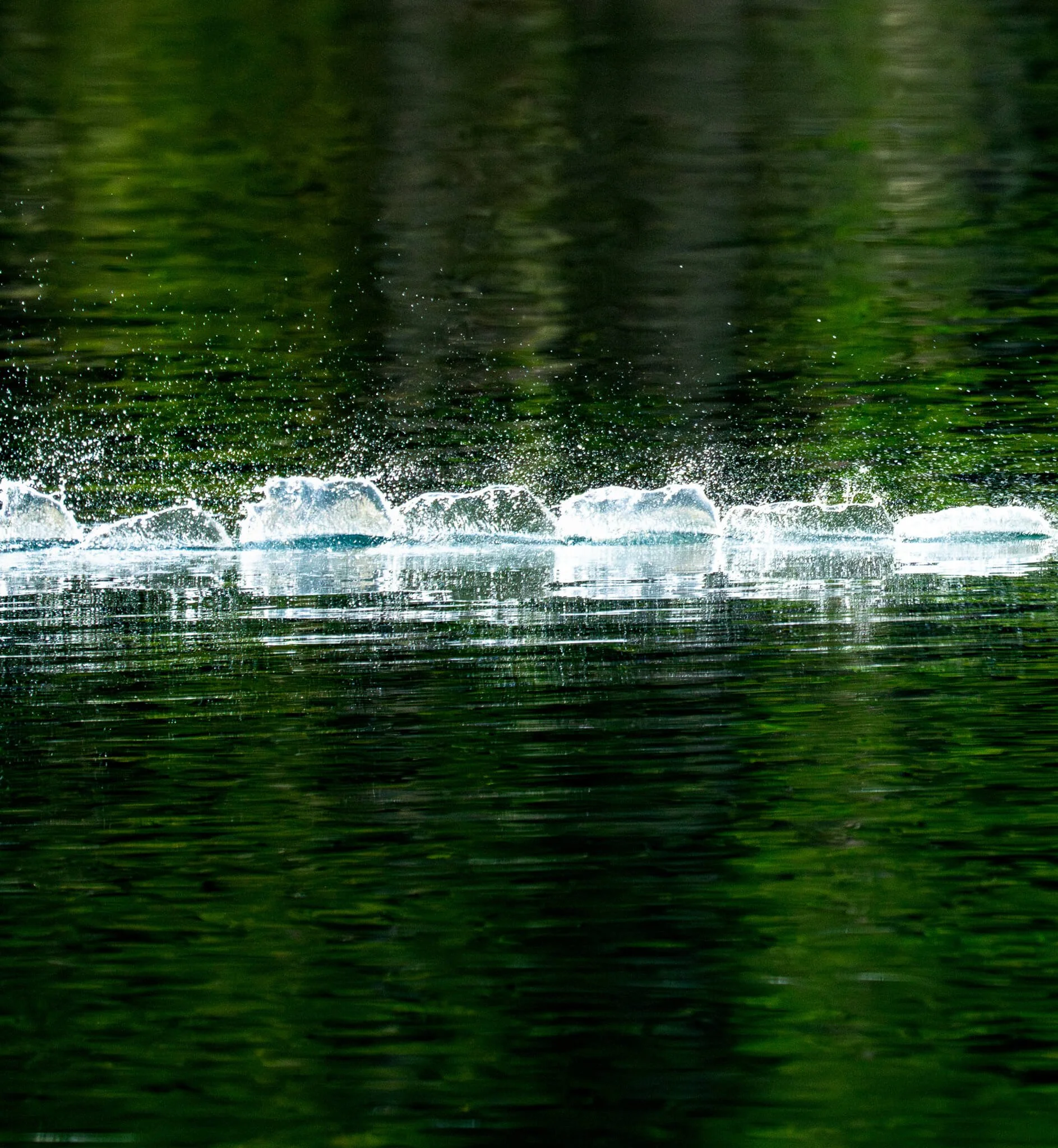 DS-Abstract-splashes,-Indo-1-2.JPG