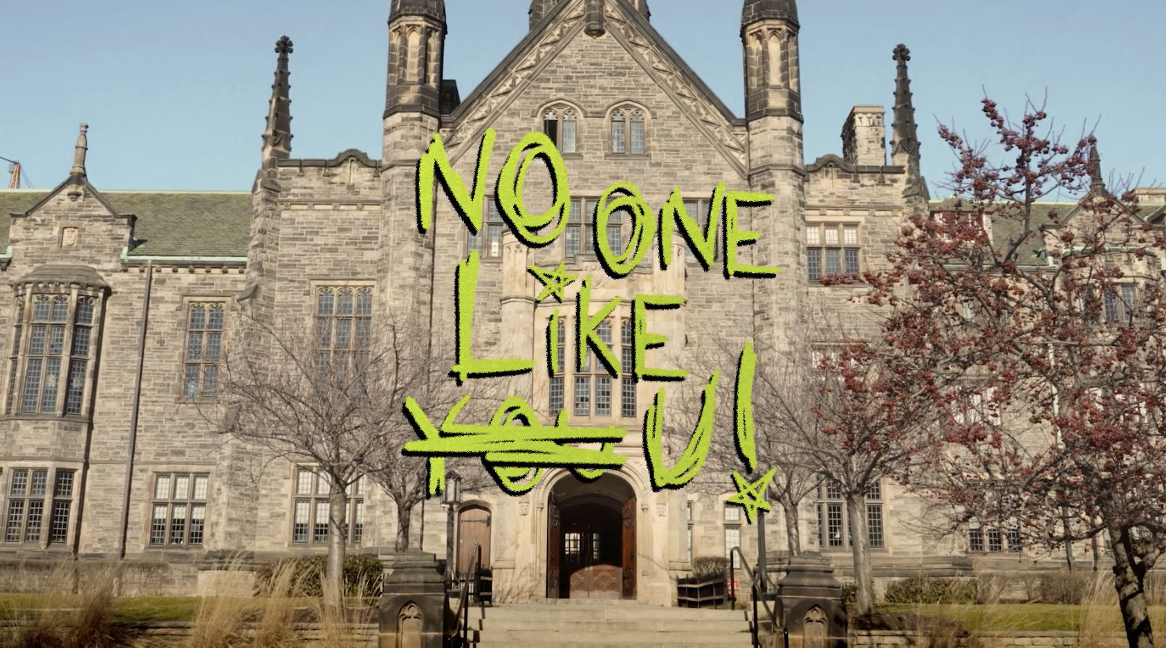 No One Like You