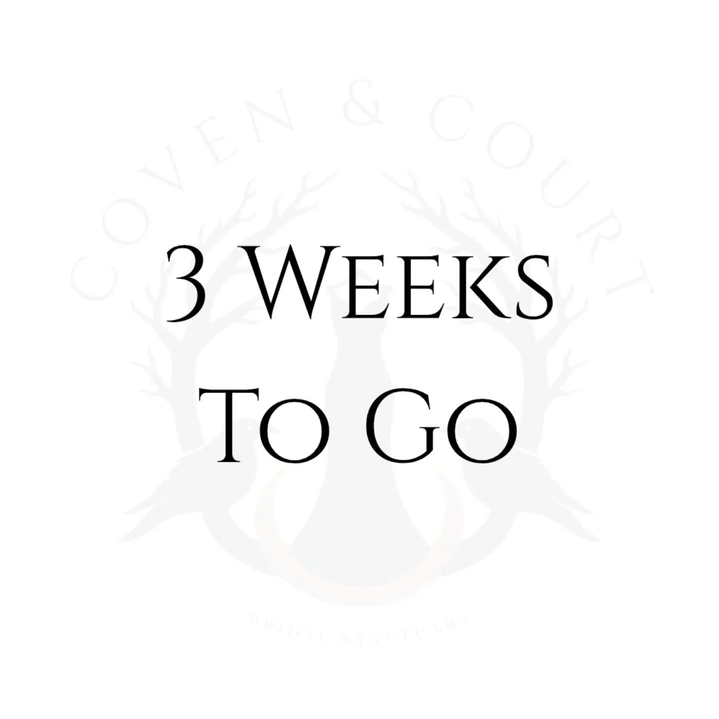 Three weeks until the doors open
Black dresses, bold colours, and a safe space where everyone is welcome 
Let's find an outfit that is completely you
​Appointments available to book via our website
Link in bio

#manchesterbride #altbride #blackweddin
