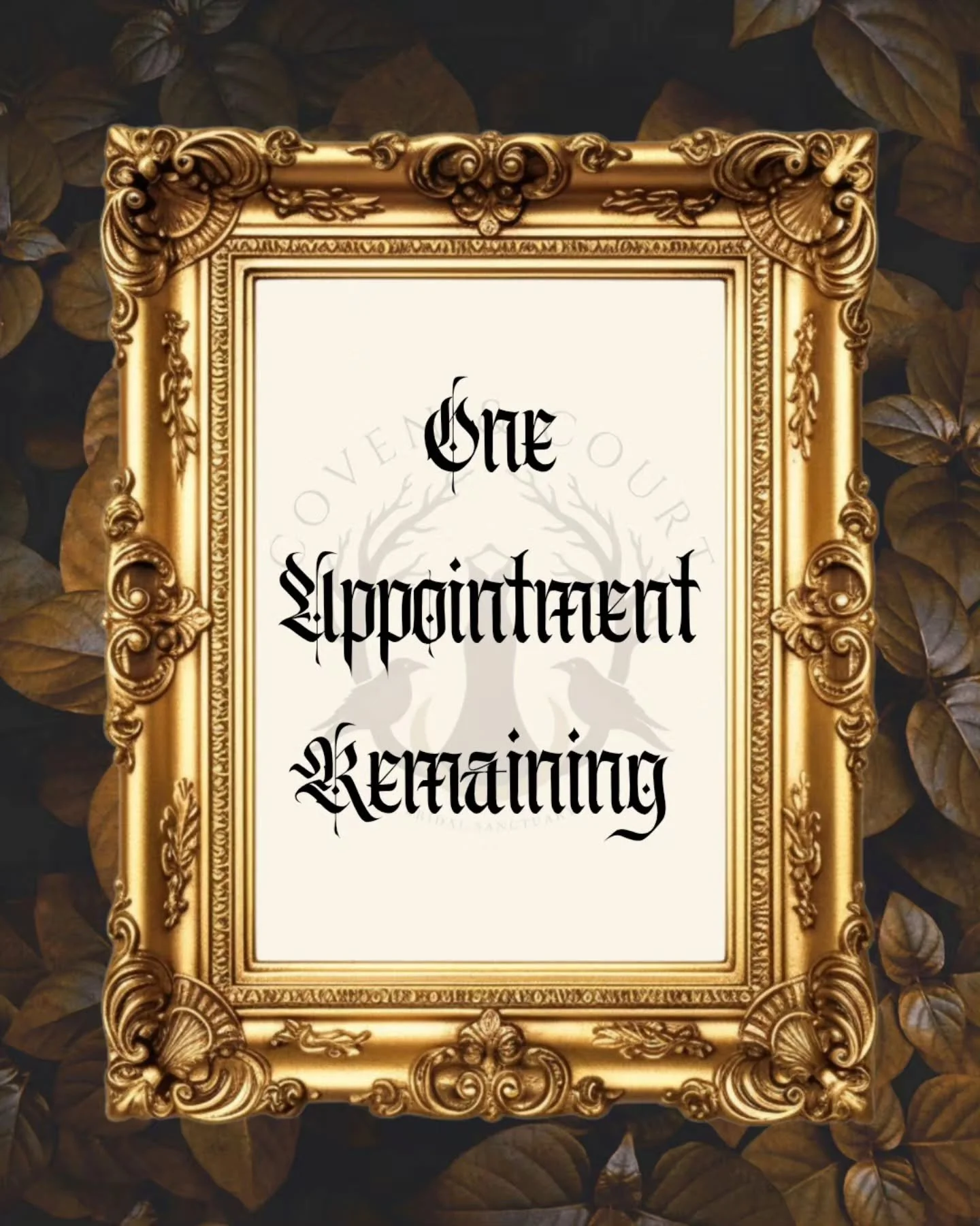 Down to the final slot 😱

WTF??

I am absolutely made up with the support for our opening weekend

There is one appointment left for a nearlywed looking for something beautifully dark and non-traditional

Link in the bio to make it yours 🖤🌙✨️

#Co