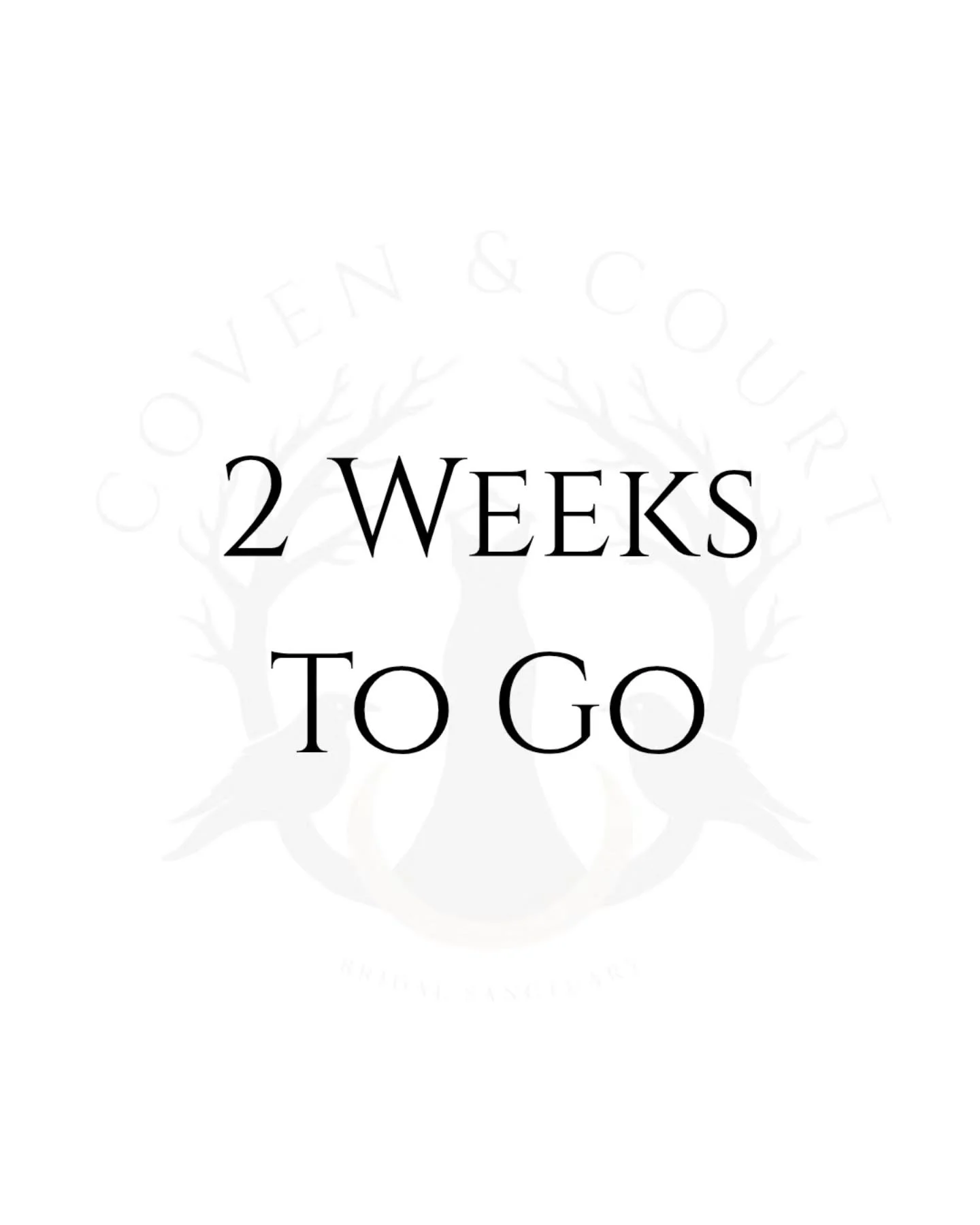 Two weeks to go!
That has come around rather quickly!
Book your appointment via the link in our bio

#Stalybridge #blackweddingdress #altbride #altwedding #covenandcourt