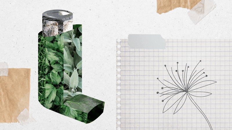 A letter 'C' with a collage of green plants and natural textures inside it, next to a sheet of grid paper with a sketched flower diagram, taped to a textured background.