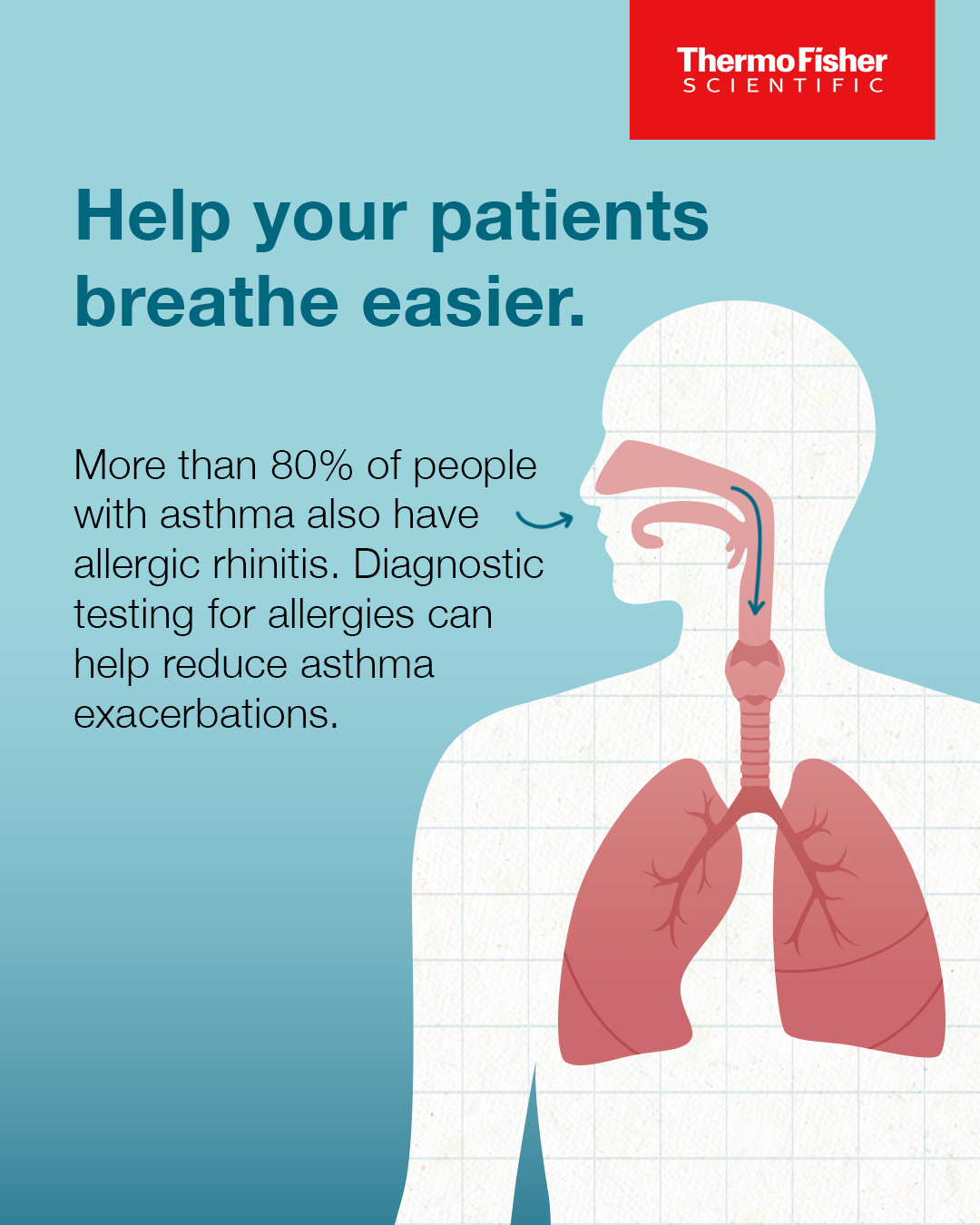 Infographic about breathing and allergies, featuring a medical illustration of the human respiratory system and lungs, with text from Thermo Fisher Scientific highlighting allergies and asthma.