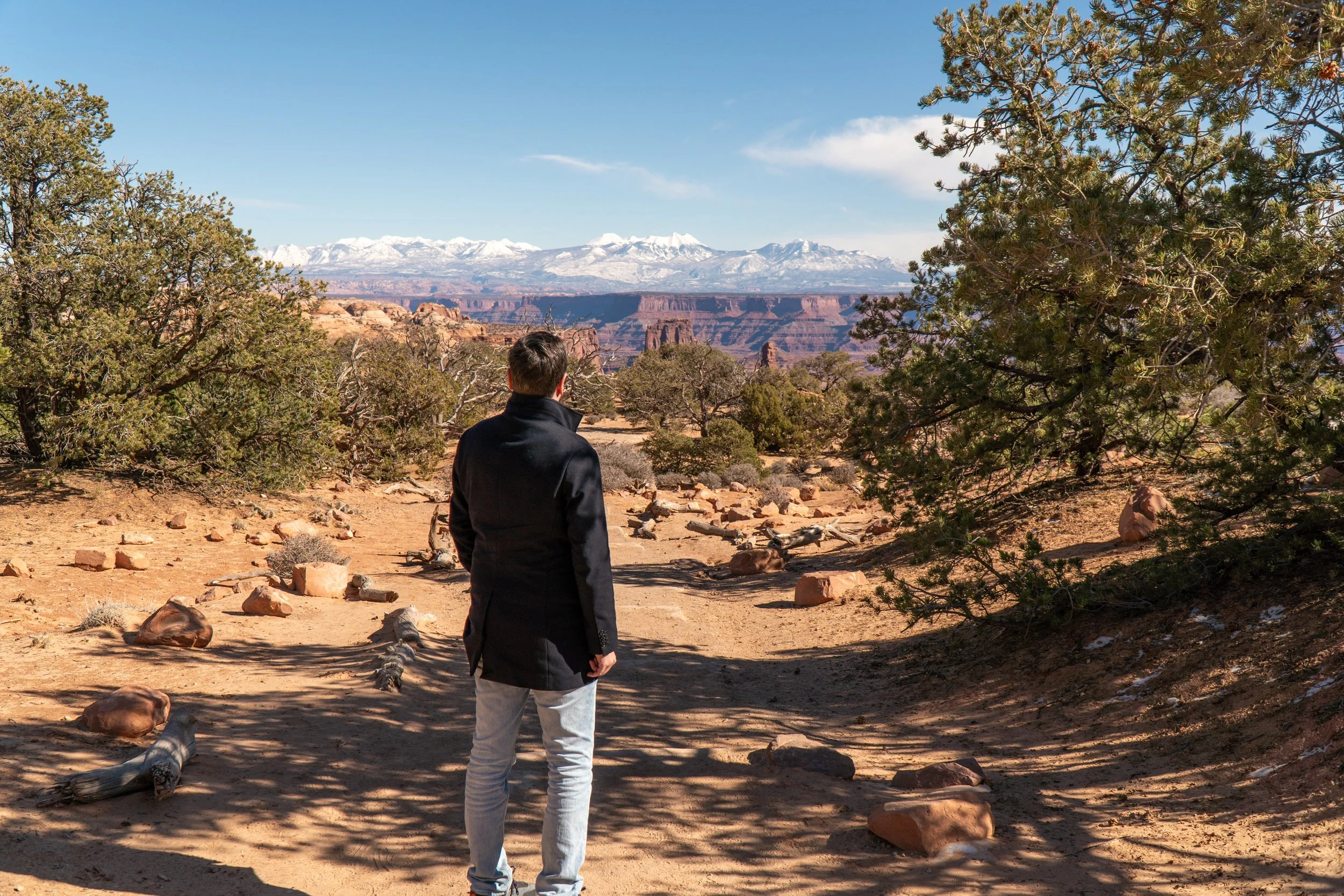A person wearing a black jacket and light-colored pants stands on a dirt trail surrounded by desert vegetation, looking at snow-capped mountains in the distance under a clear blue sky.