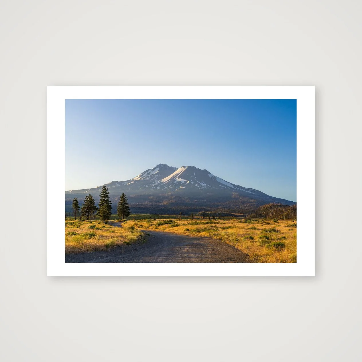 Road to Shasta