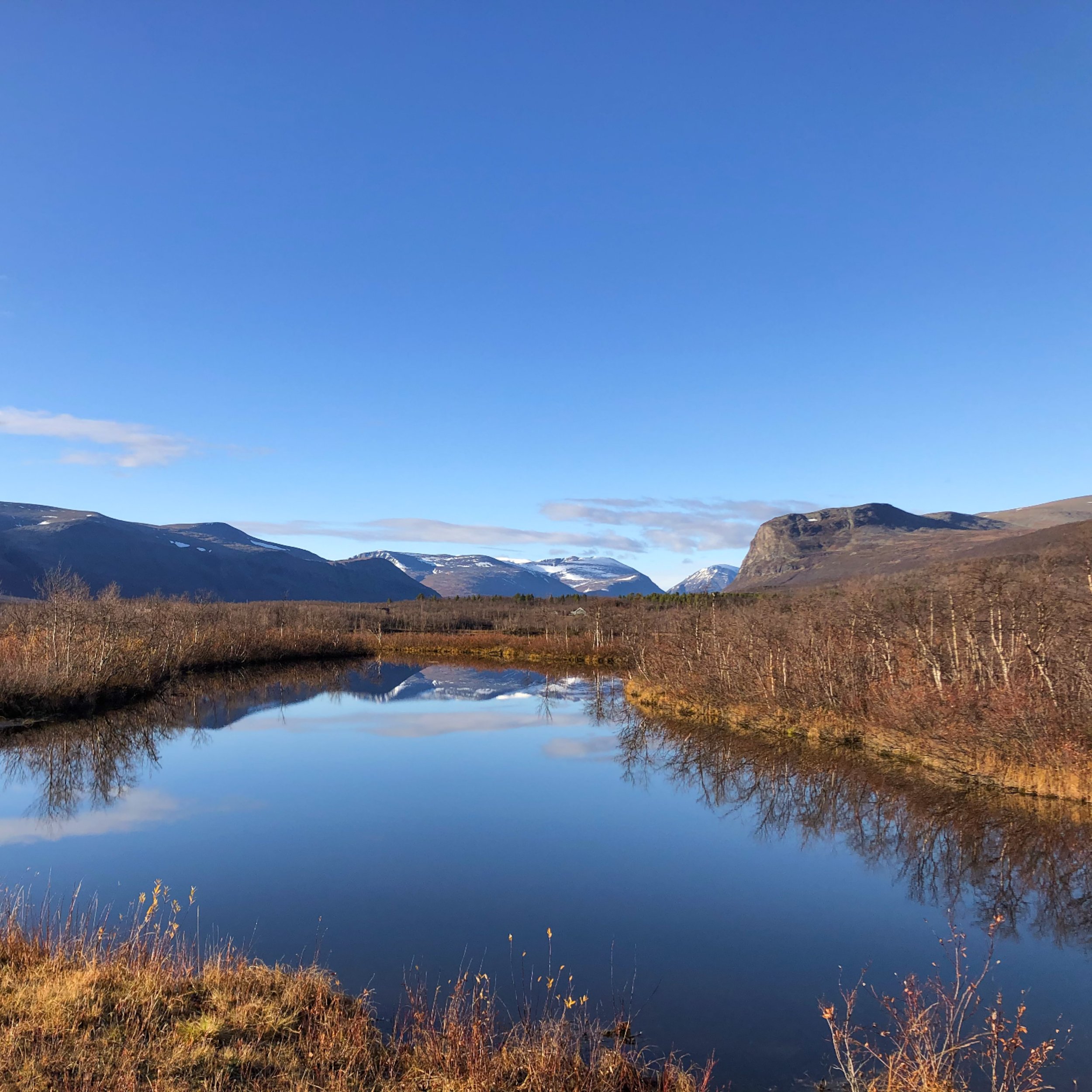 View towards Kebnekaise near Nikkaluokta, autumn colours. Northernmost Sweden is still relatively unknown compared to northern Norway or Finland, at least outside of Sweden. Have you been there yet?

#nikkaluokta #kebnekaisefj&auml;llen #sweden #lapp