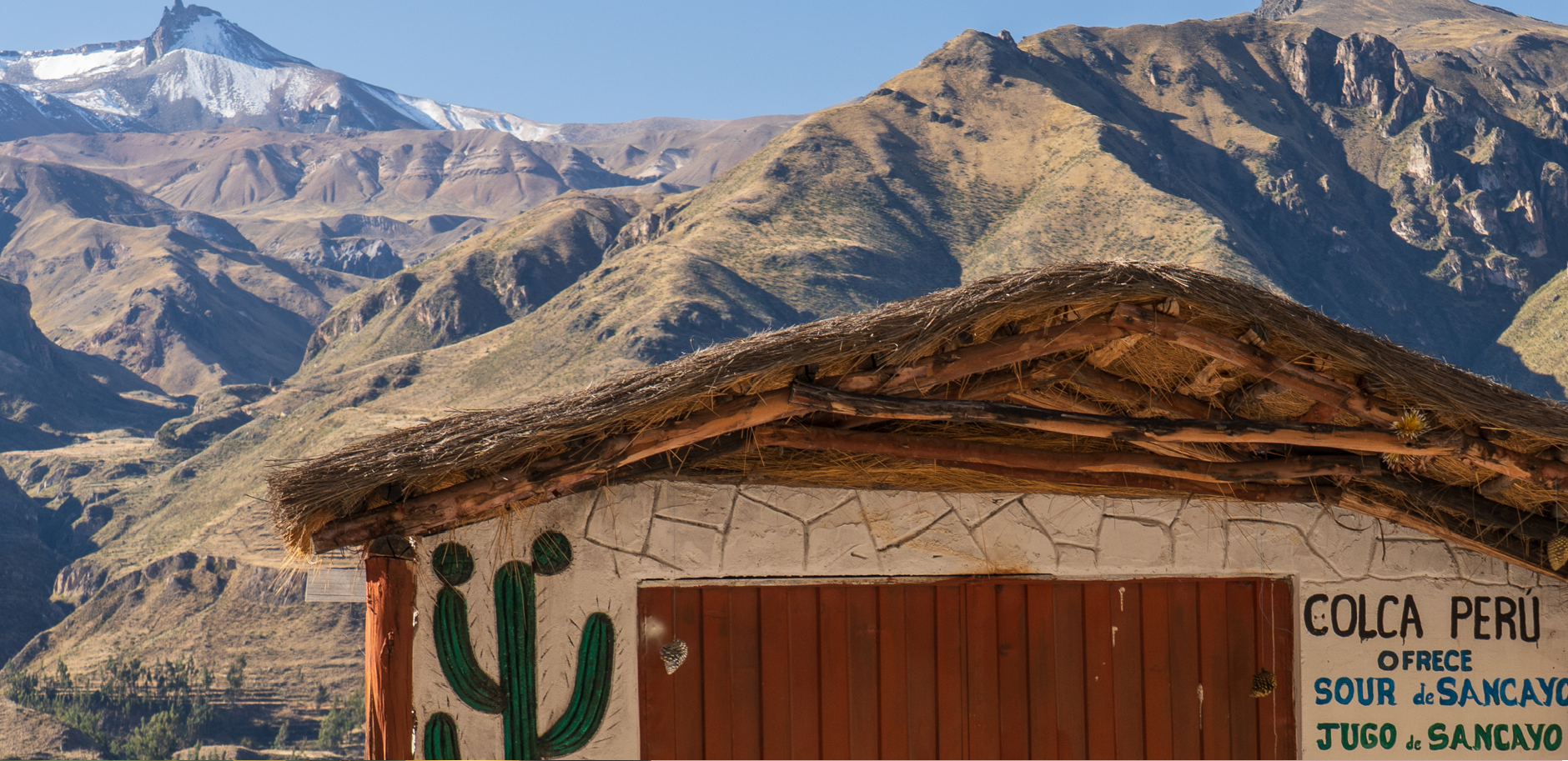 colca sour.png